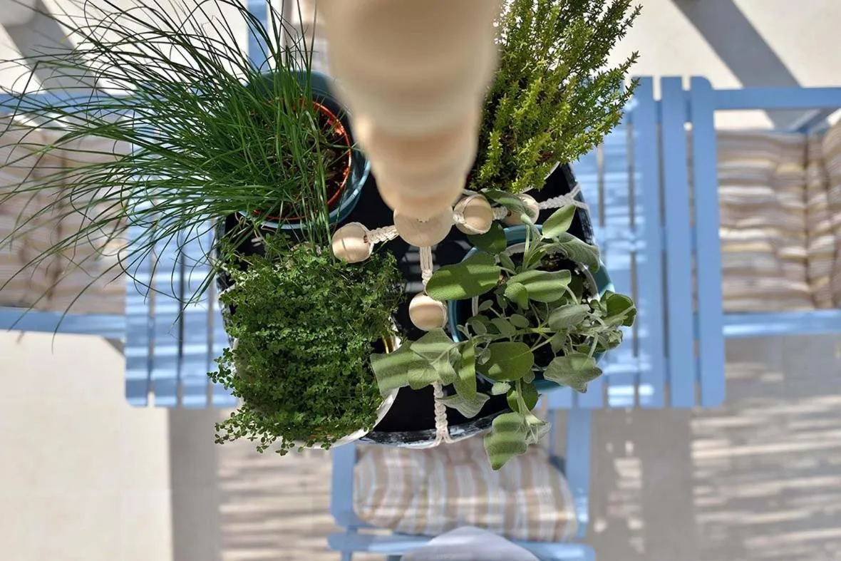 Balcony/Terrace in Palazzo Kapece