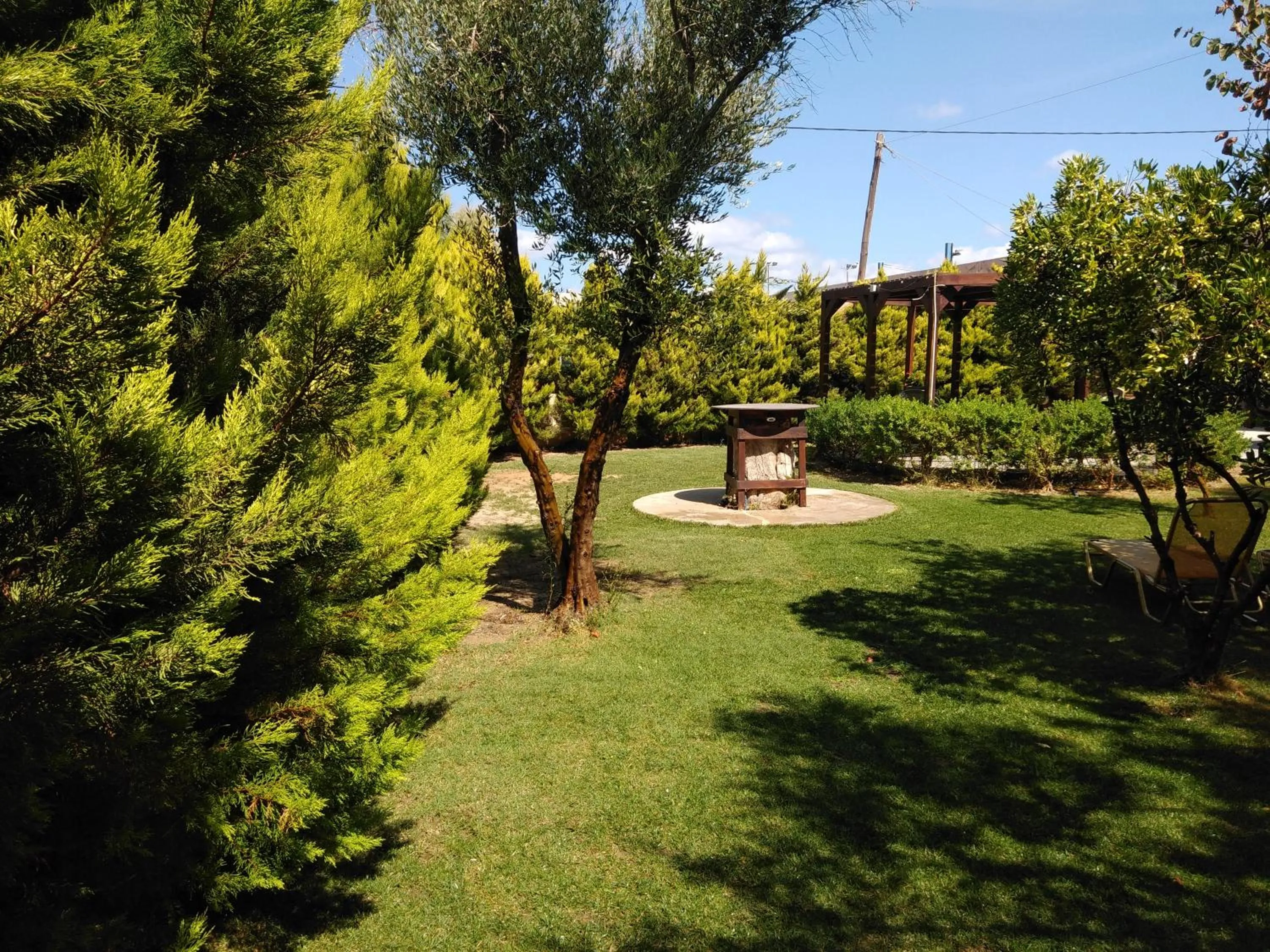 Garden in The Santo George Beach Resort