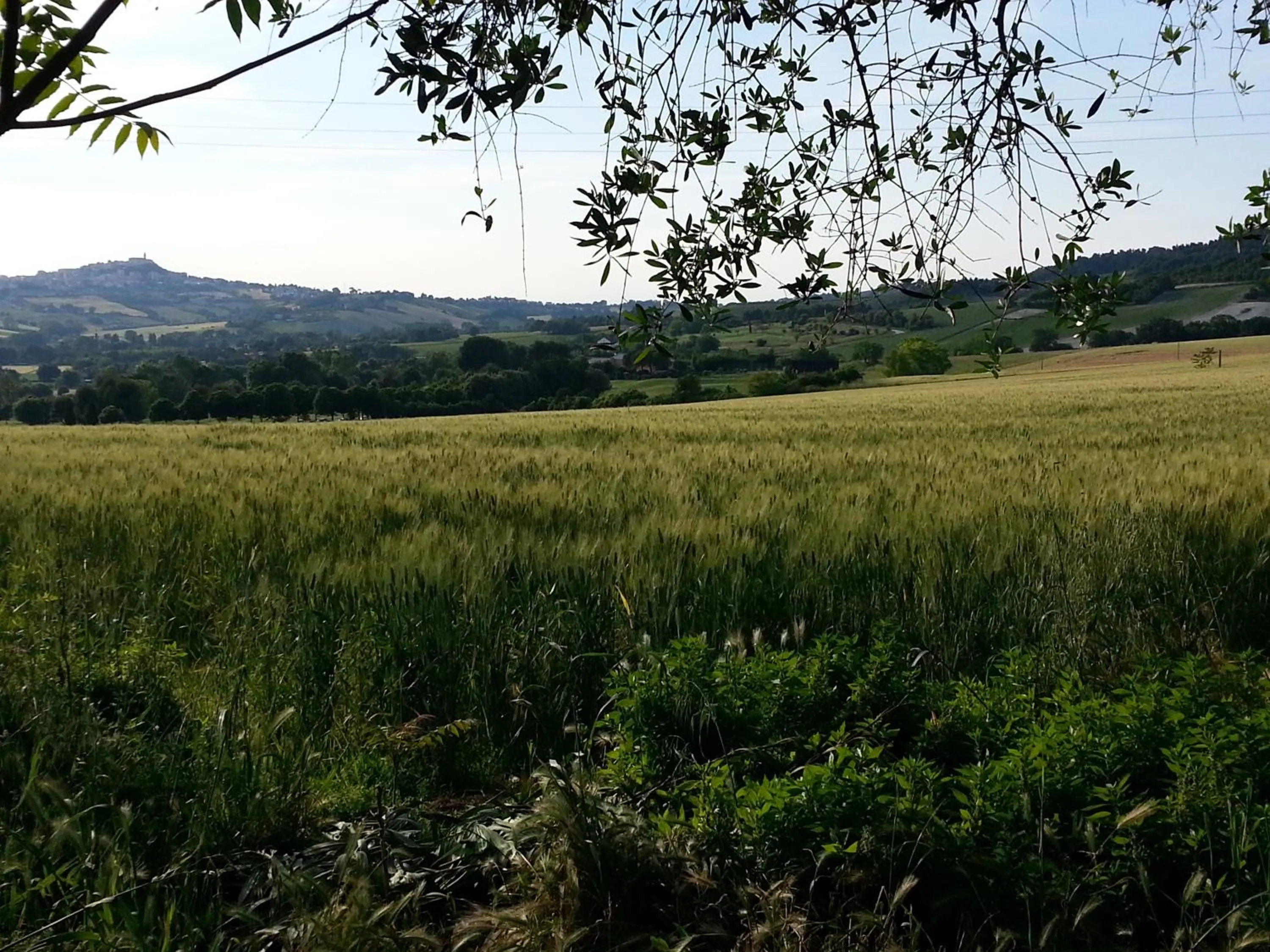 Natural landscape in Al Coppo