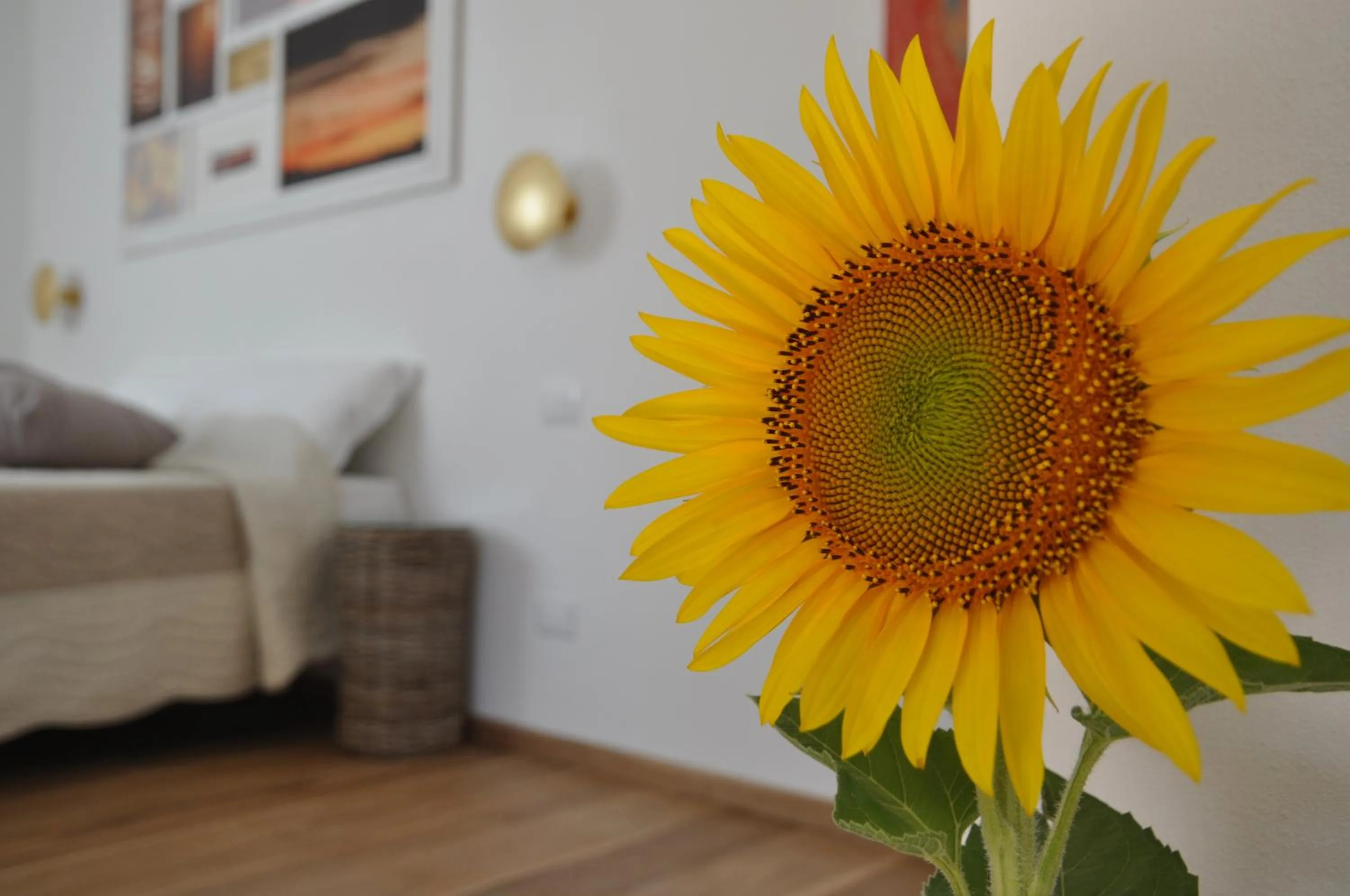 Decorative detail in Al Coppo