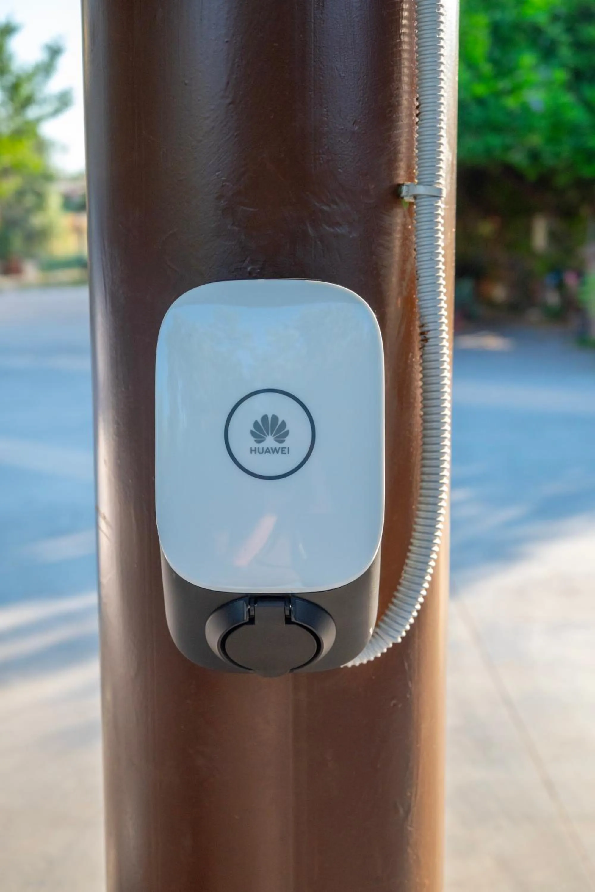 Parking in Il Gallo Con Gli Stivali