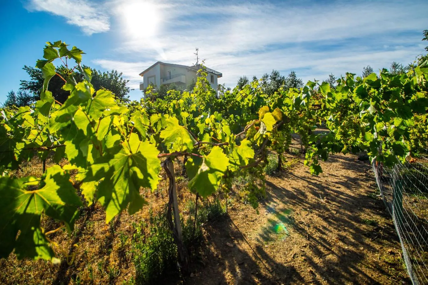 Natural landscape in Il Gallo Con Gli Stivali