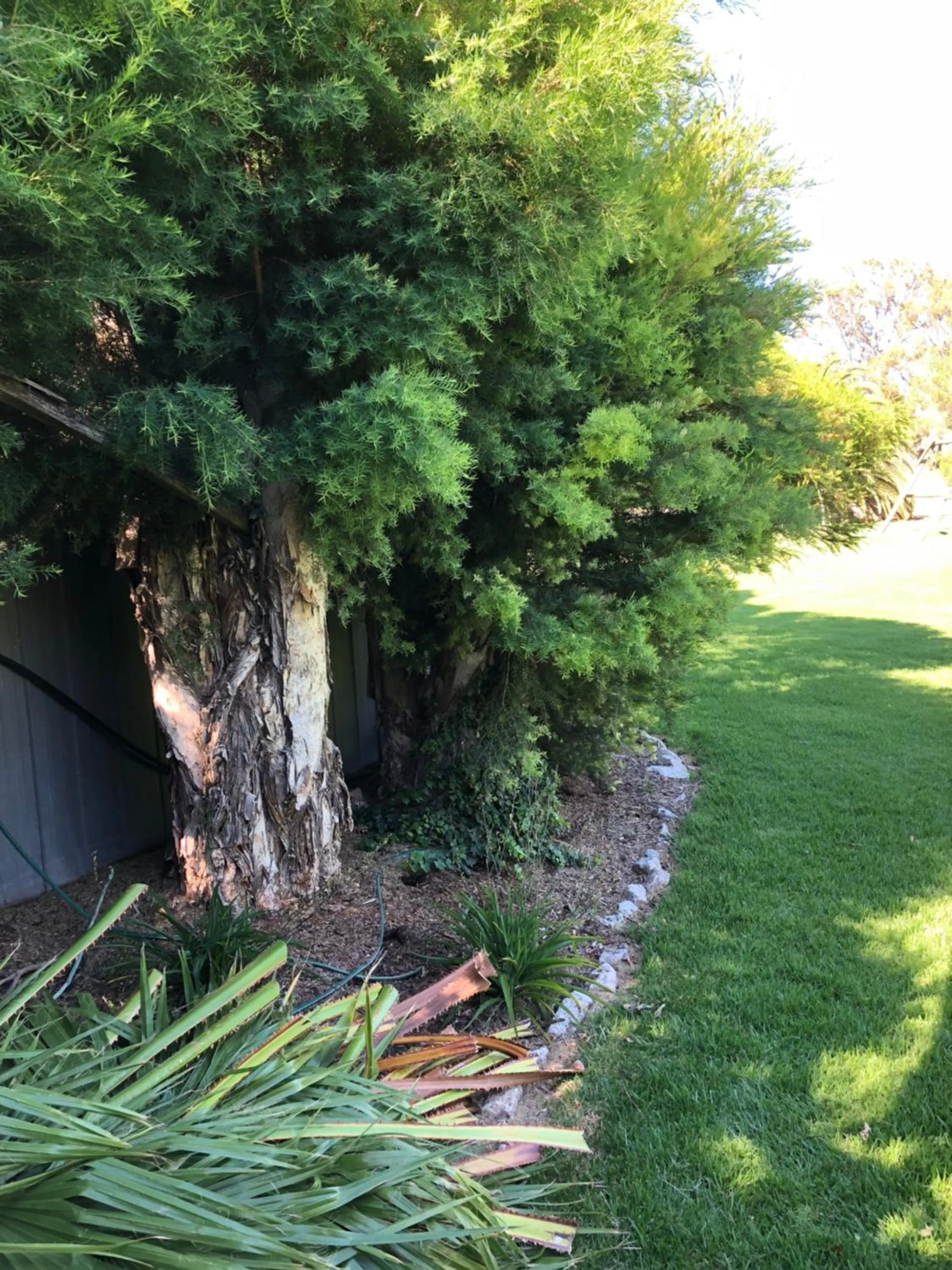 Natural landscape in Kerang Valley Resort