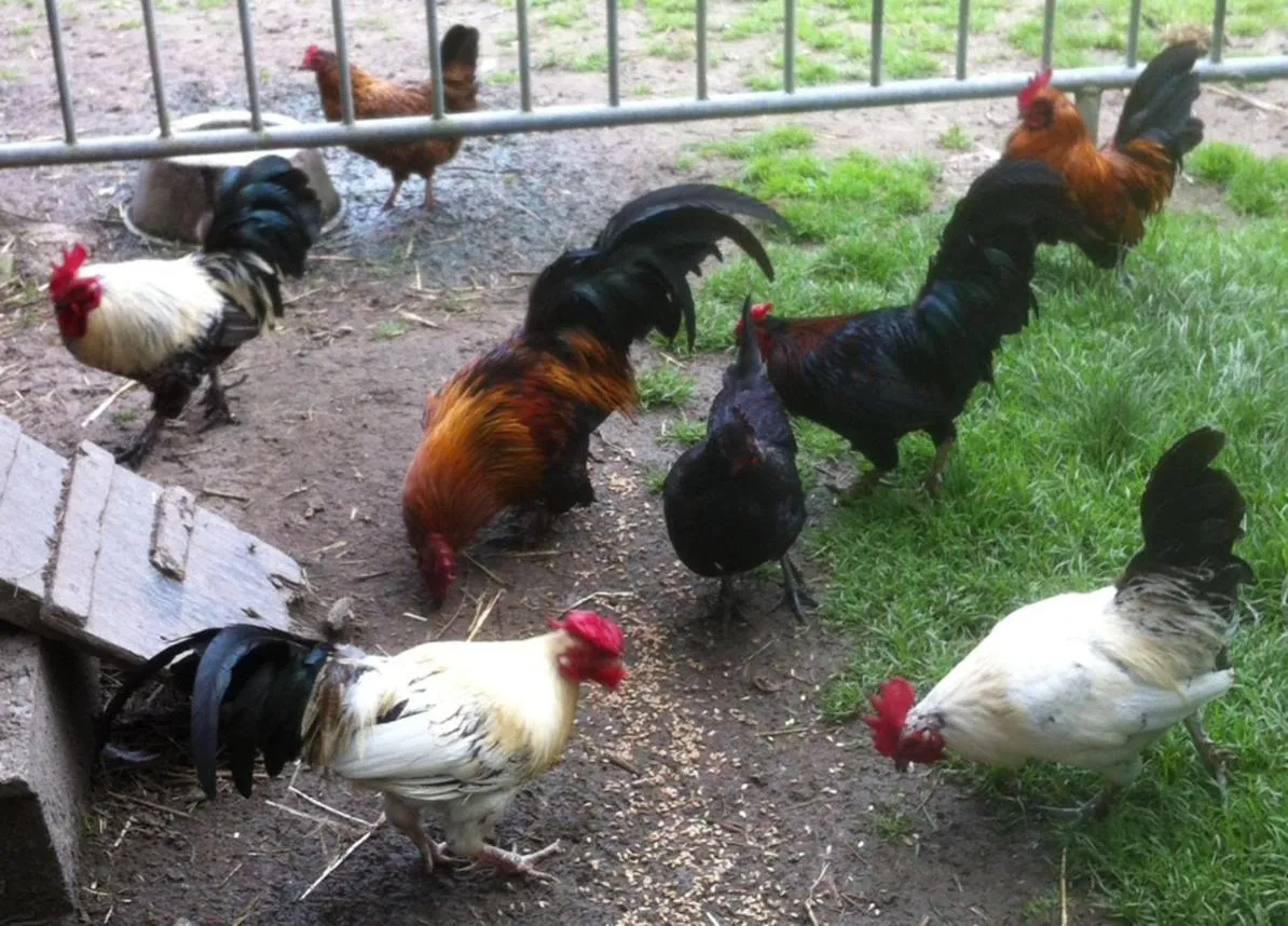 Le Clos des Cordeliers