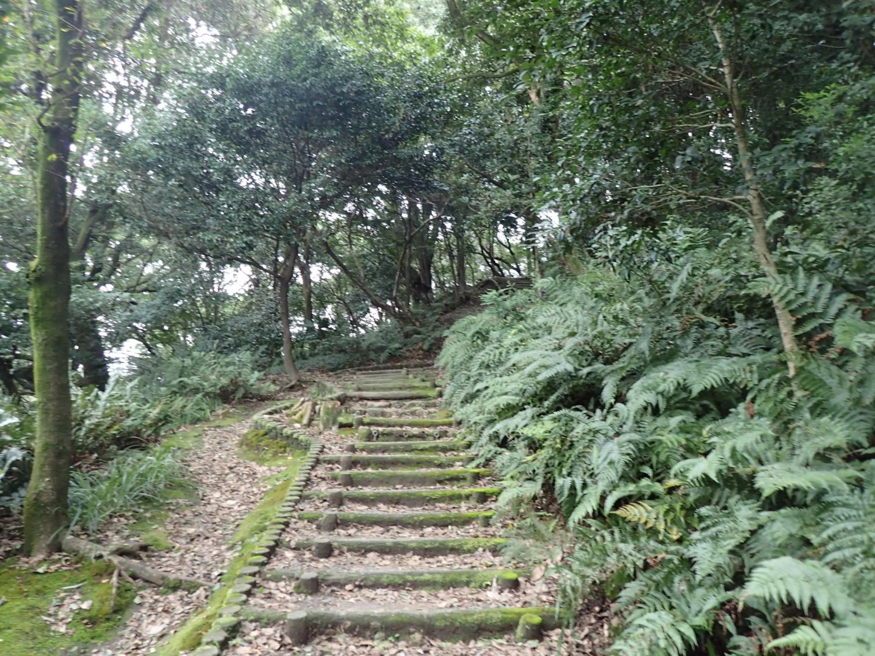 Nearby landmark in Castle Inn Komaki