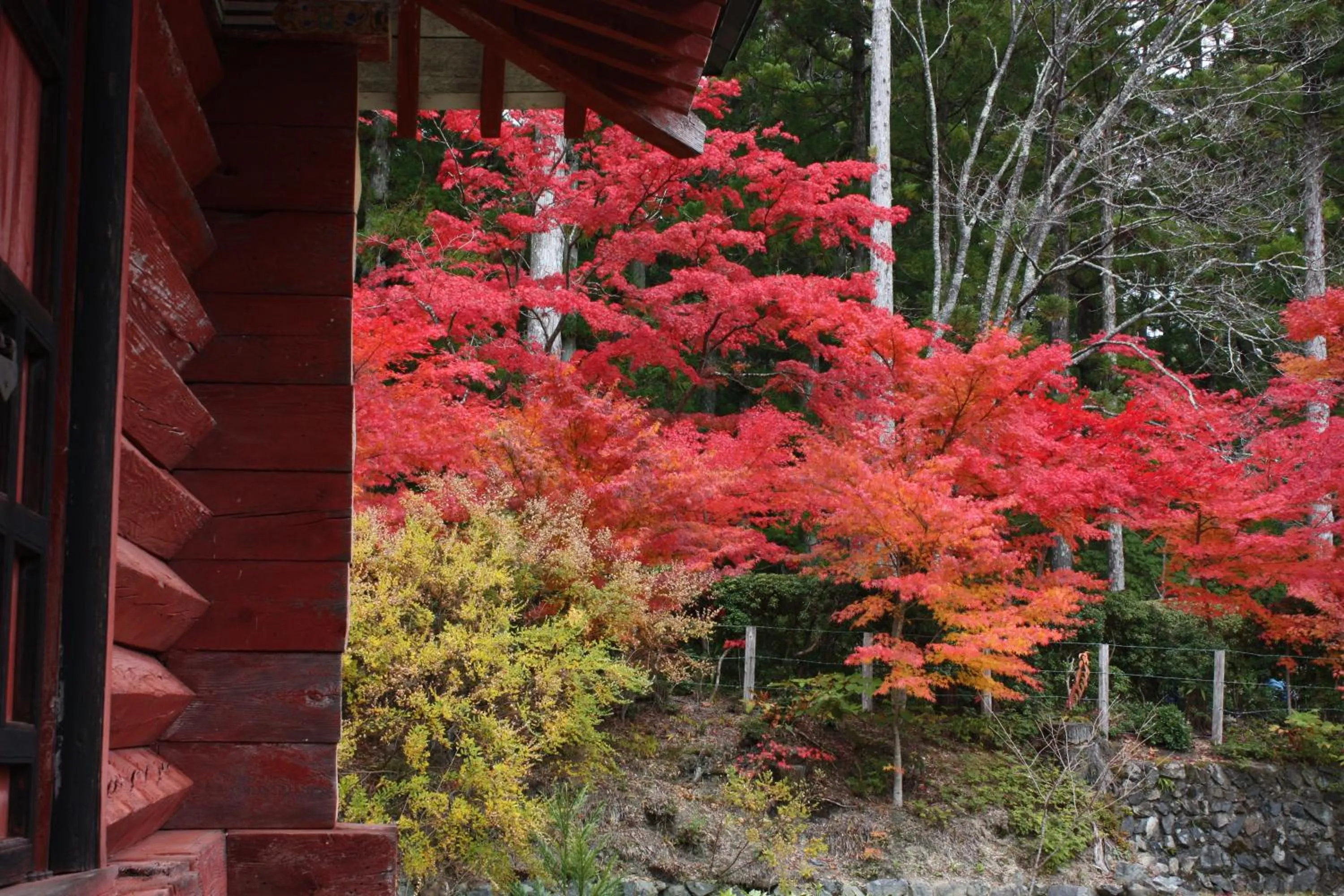 Garden in Koyasan Shukubo Jokiin