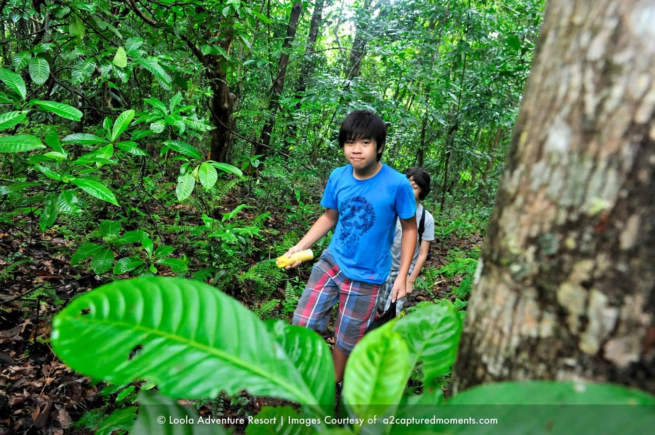 Natural landscape in LooLa Adventure Resort