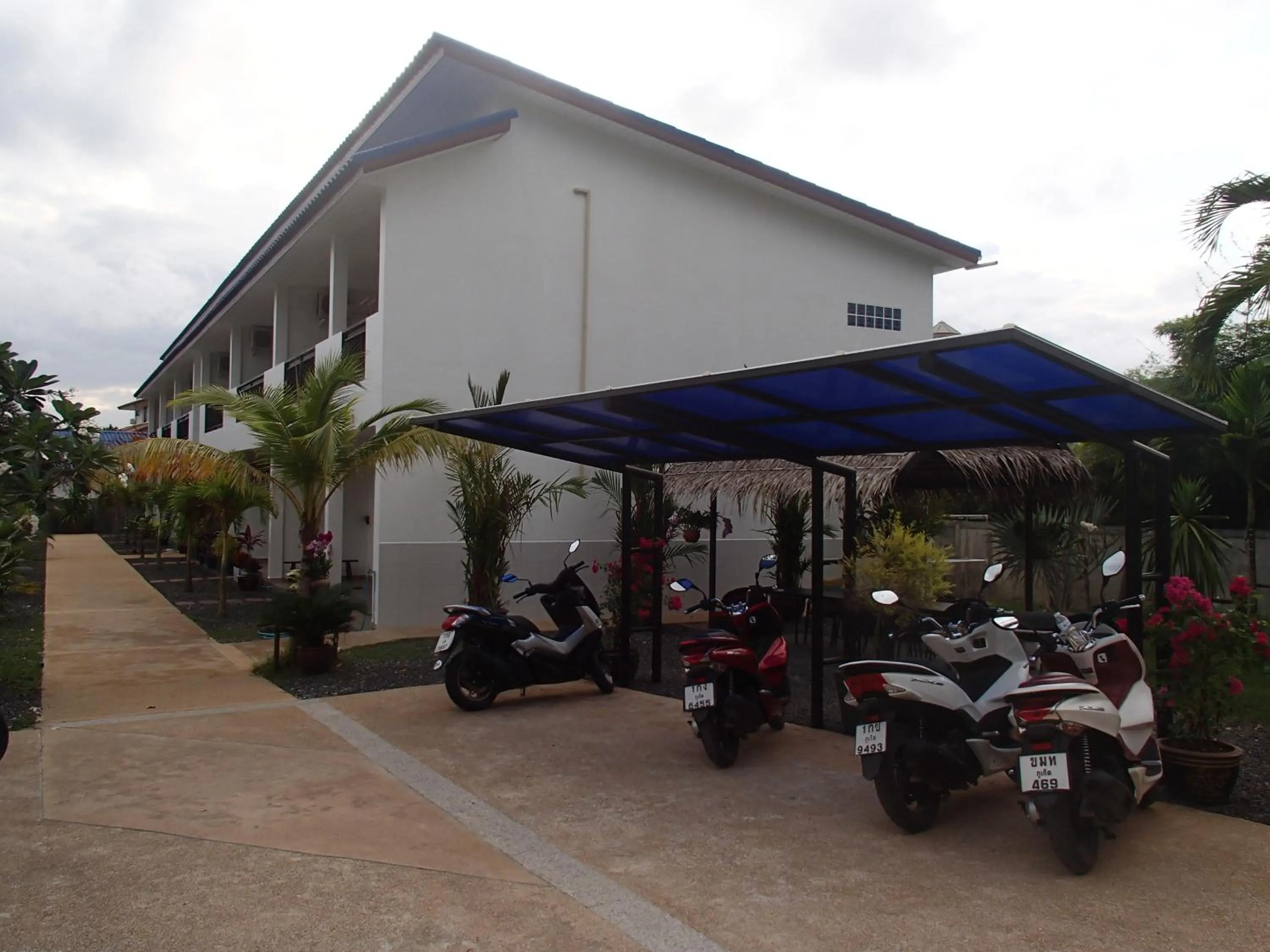 Garden in Coconoi Residence