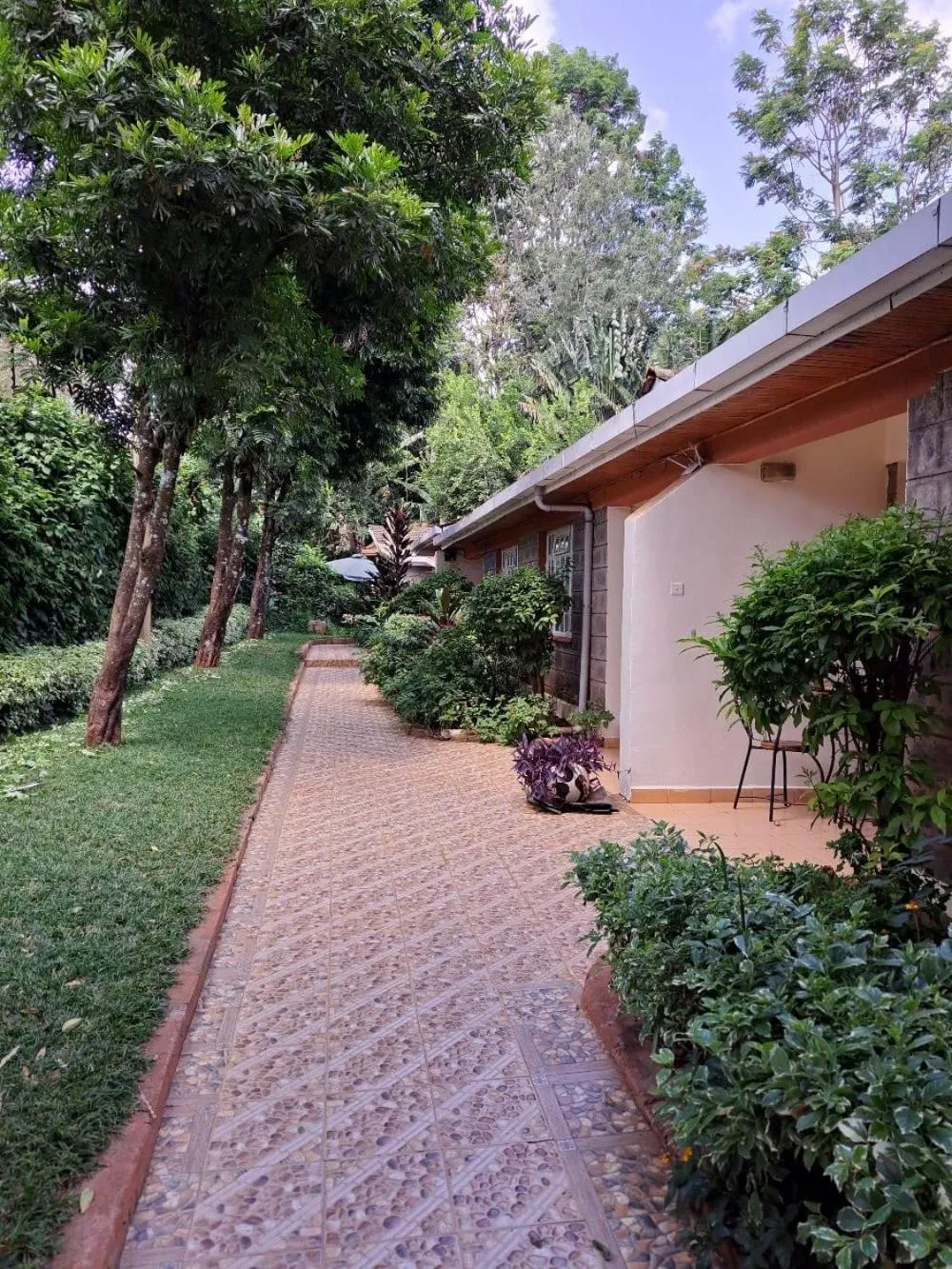 Natural landscape in Rosslyn Studios