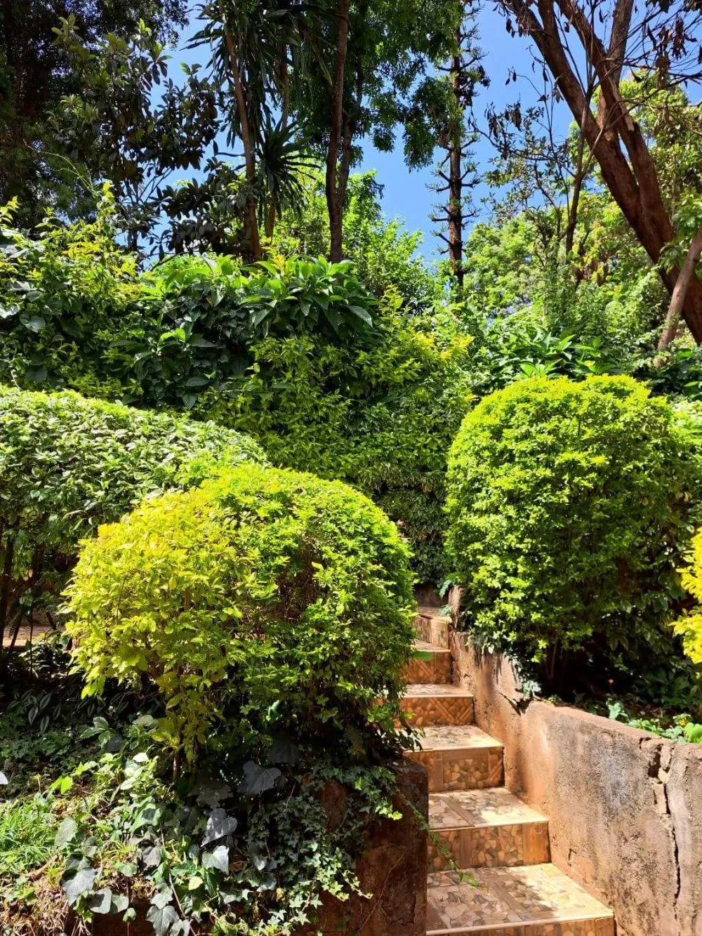 Natural landscape in Rosslyn Studios
