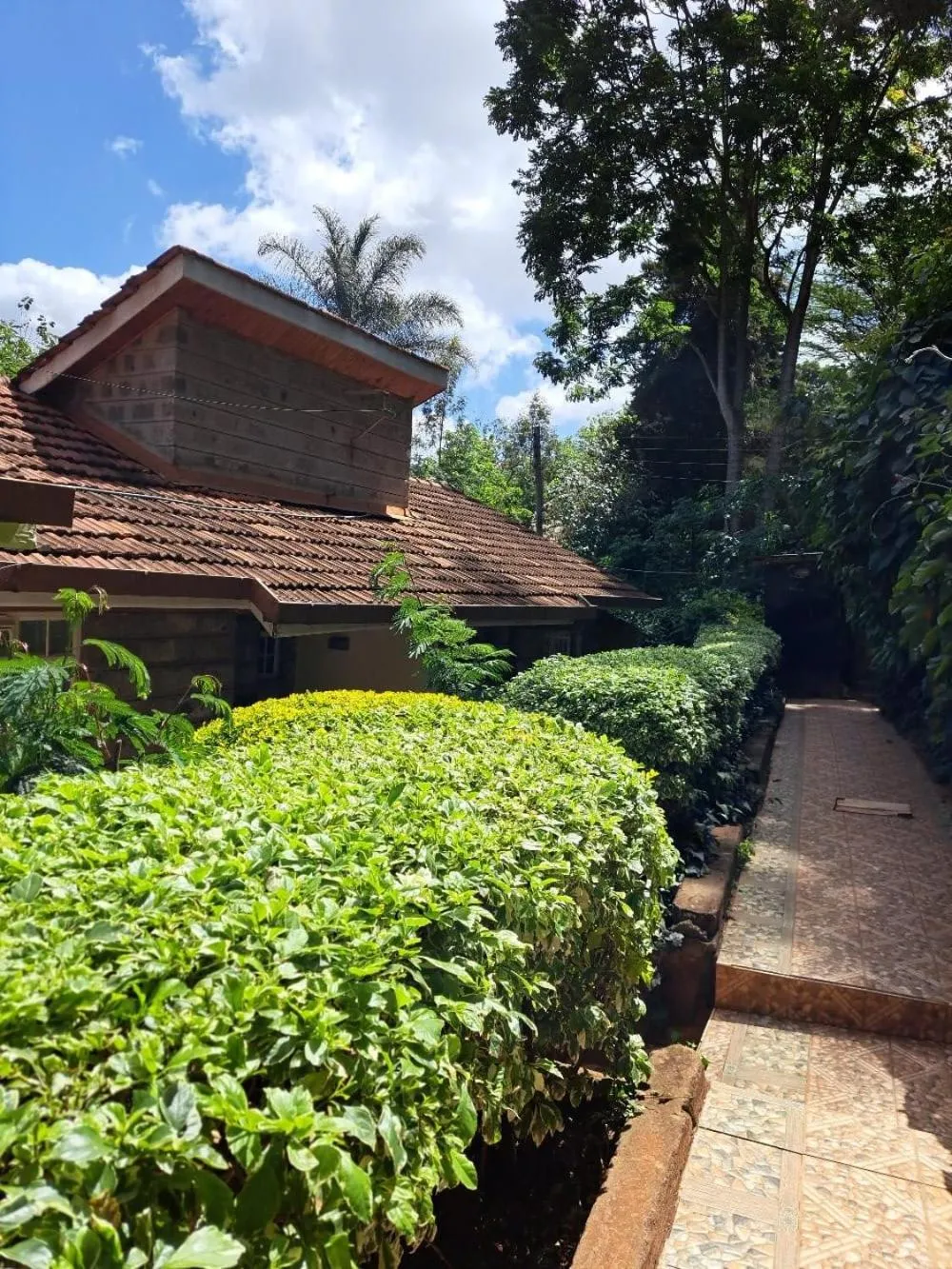 Spring in Rosslyn Studios