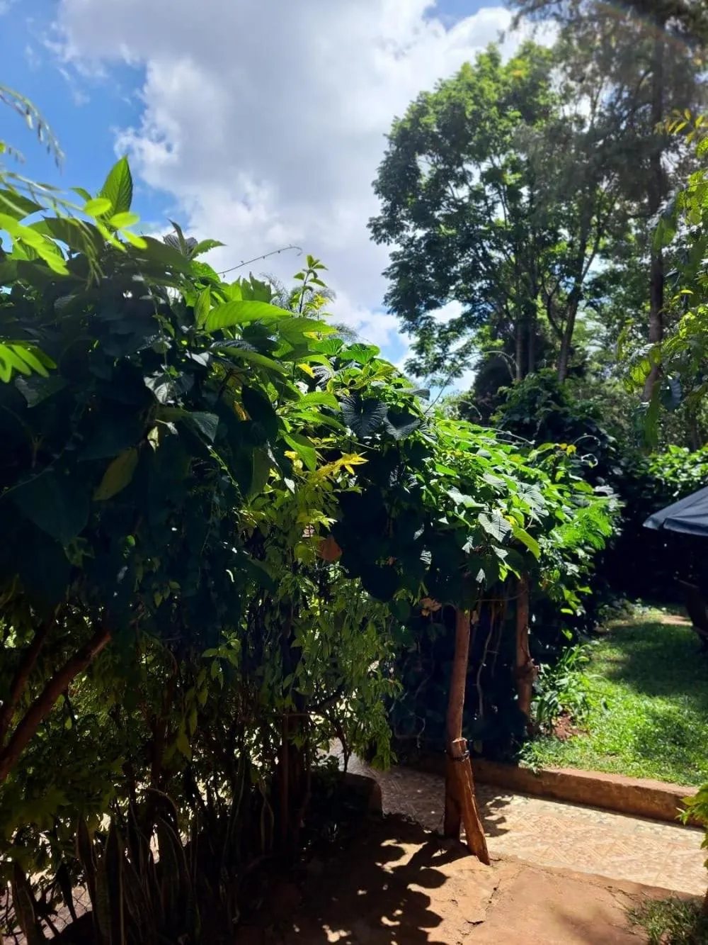 Natural landscape in Rosslyn Studios