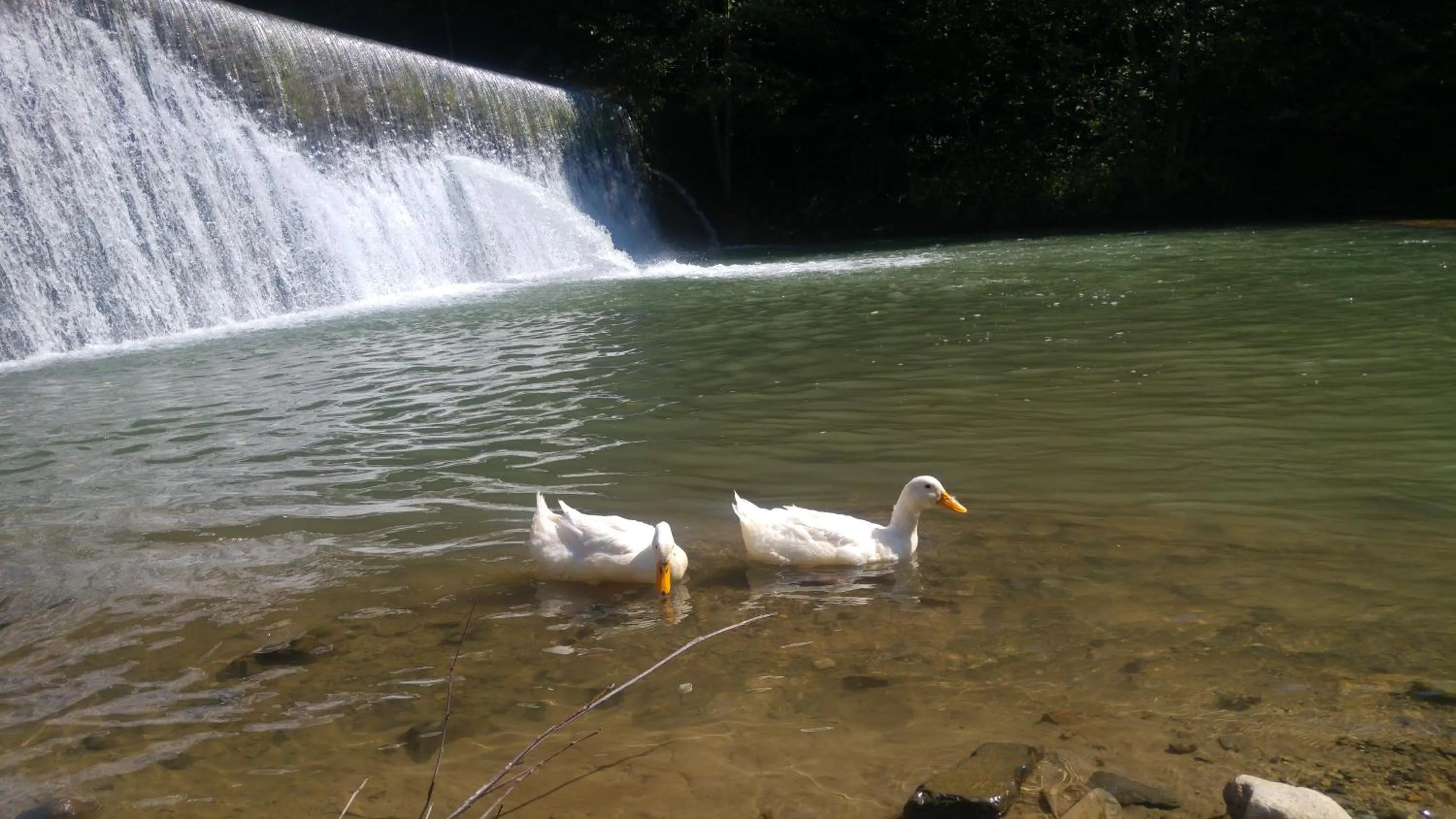 Natural landscape in Isikli Kale Hotel
