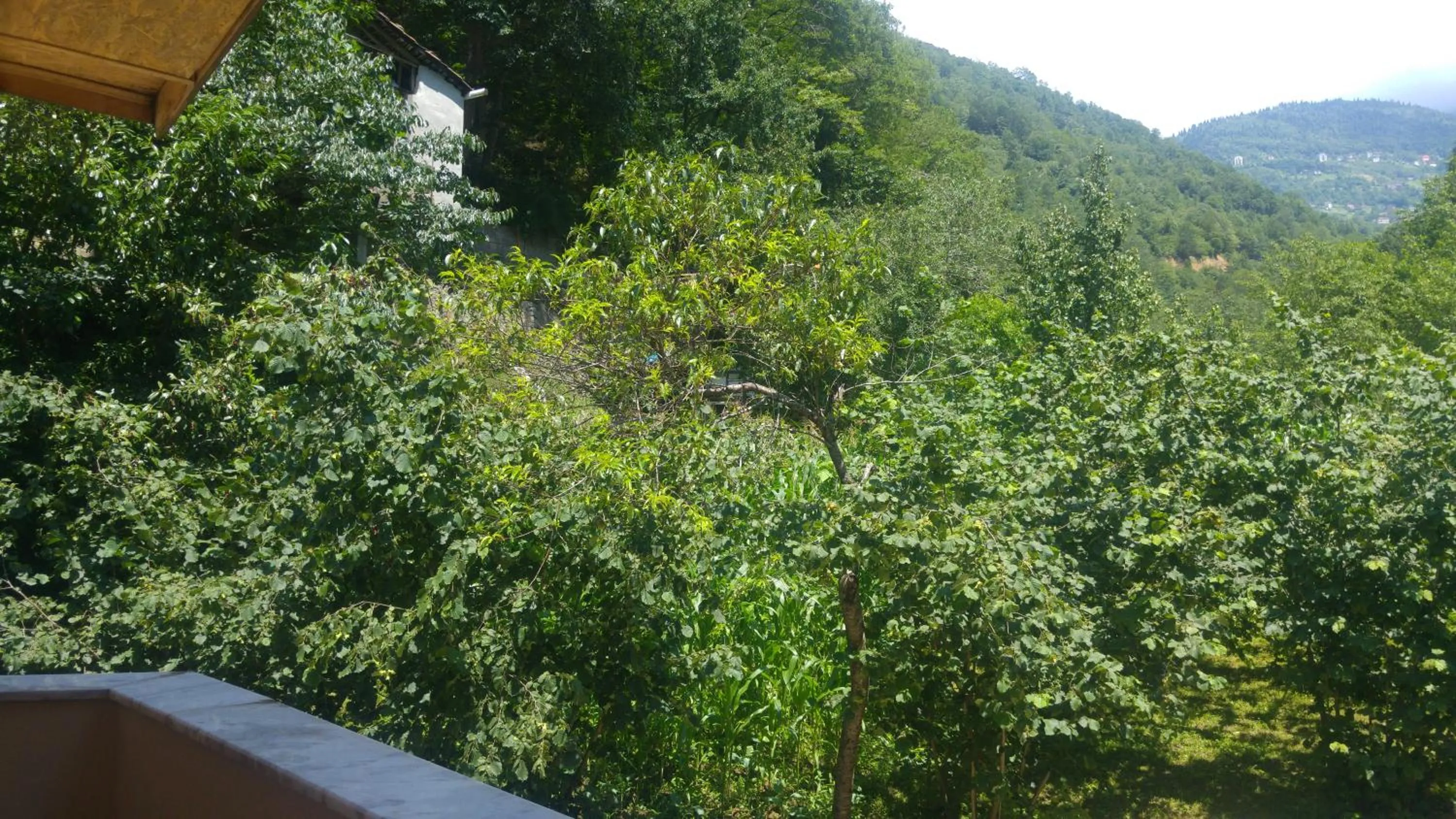 Natural landscape in Isikli Kale Hotel