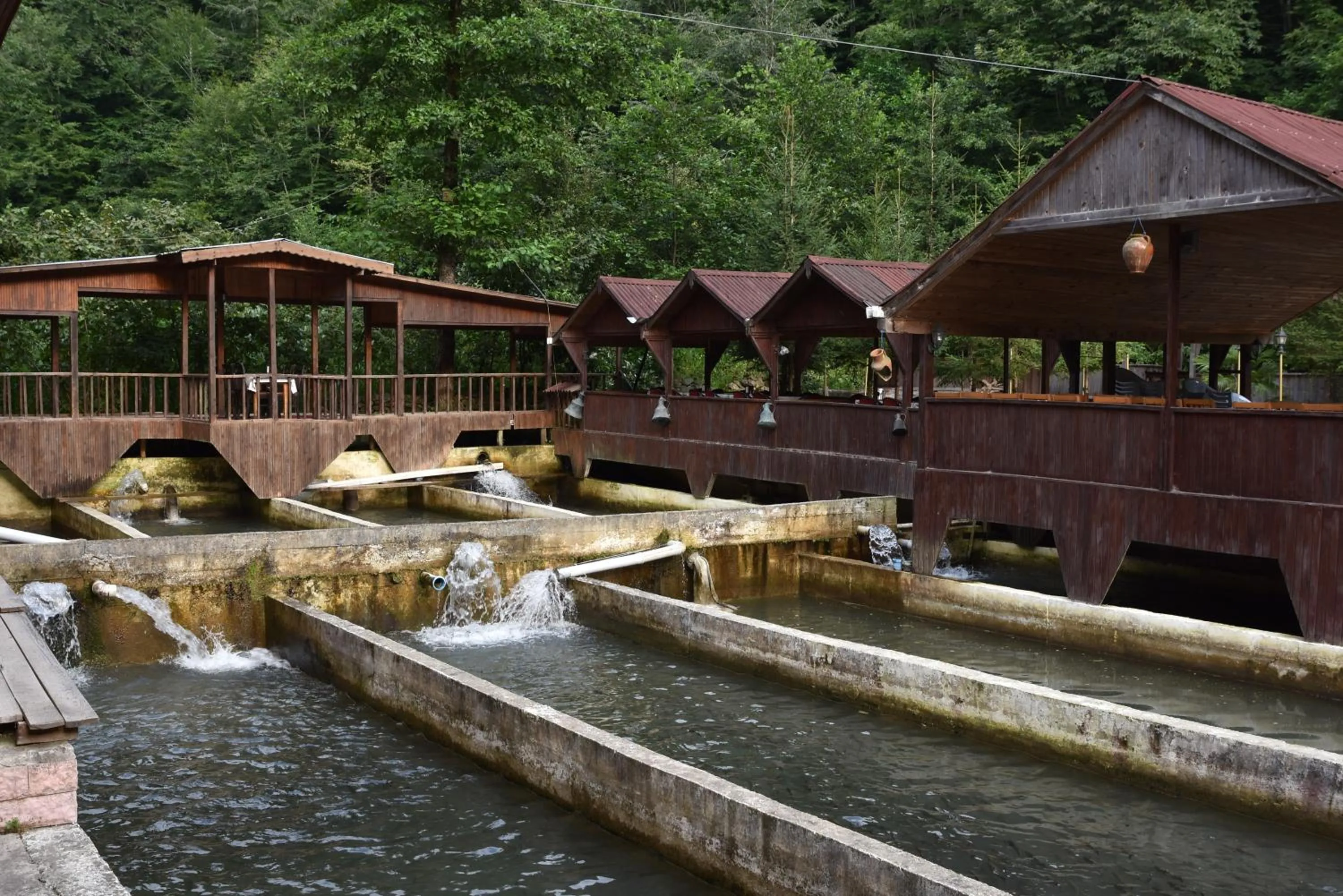 Animals in Isikli Kale Hotel