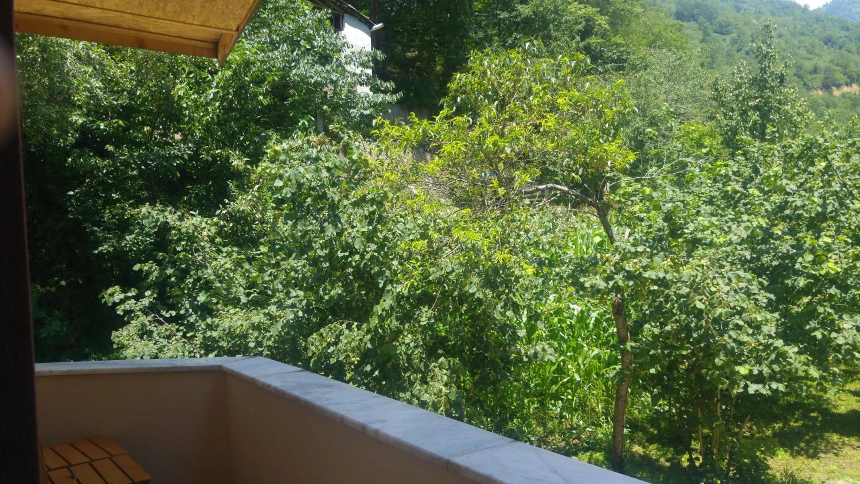 Natural landscape in Isikli Kale Hotel