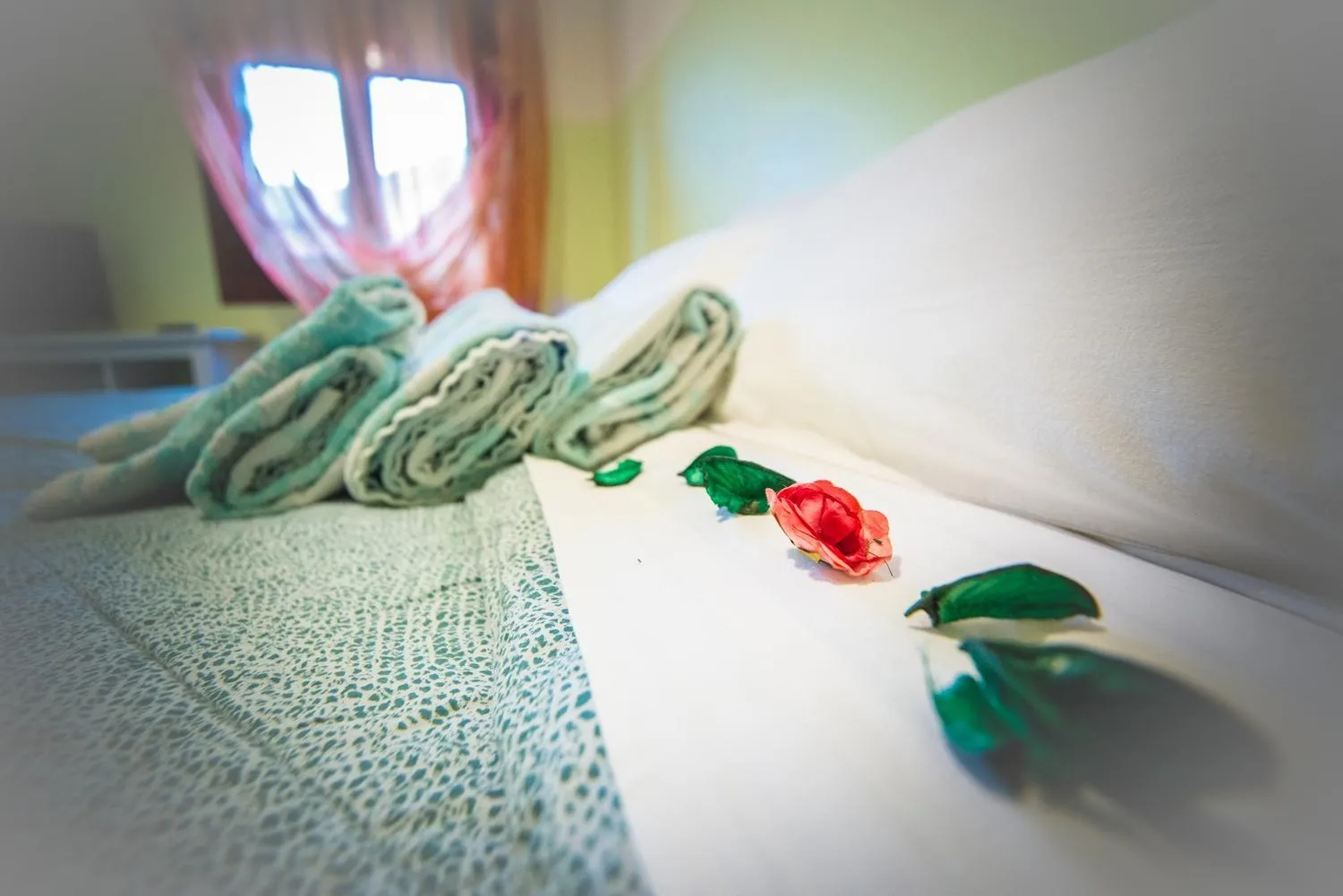 Bed in Adria Bella Locazione Turistica