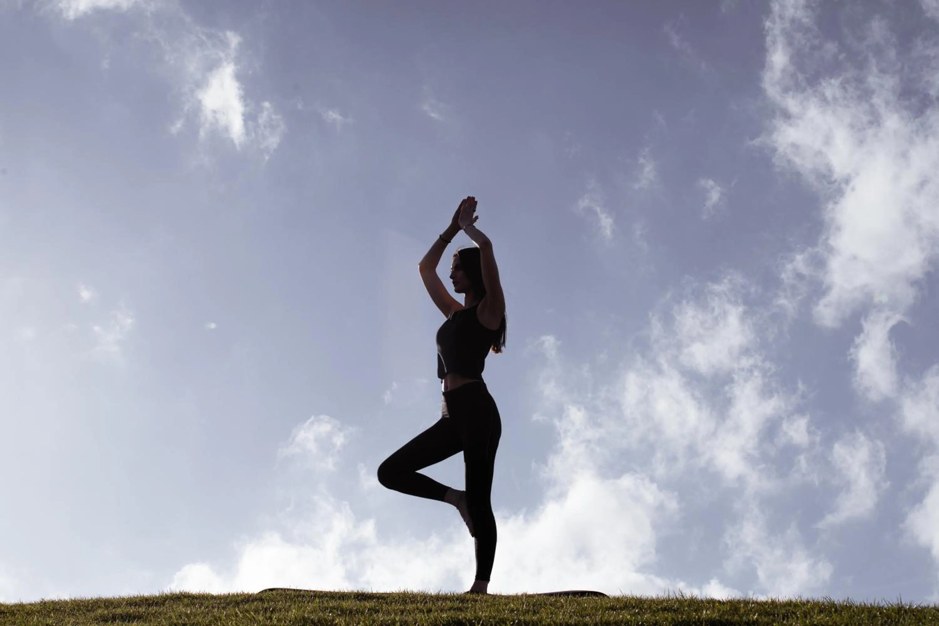 Activities in Castelfalfi