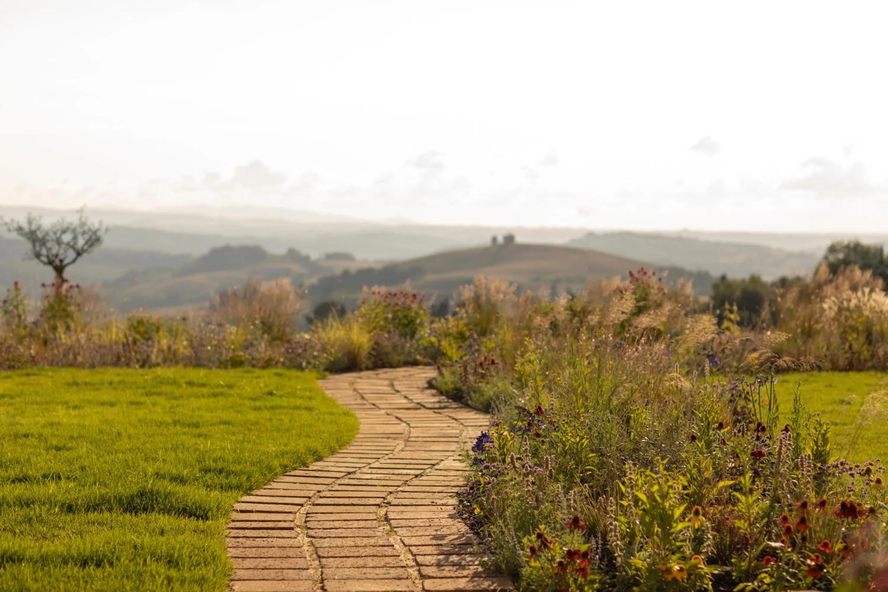Garden in Castelfalfi