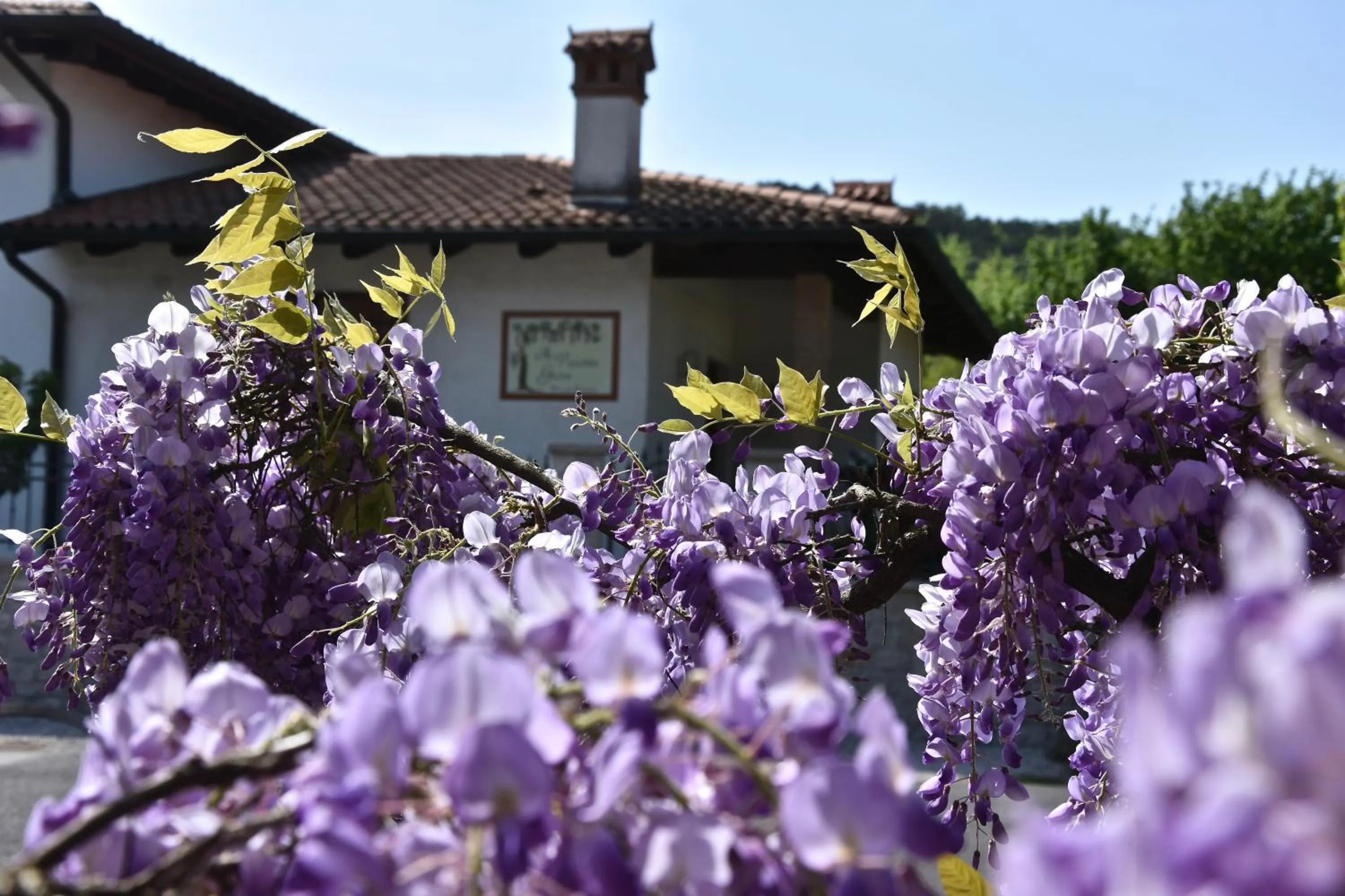 Property building in Al Vecchio Glicine