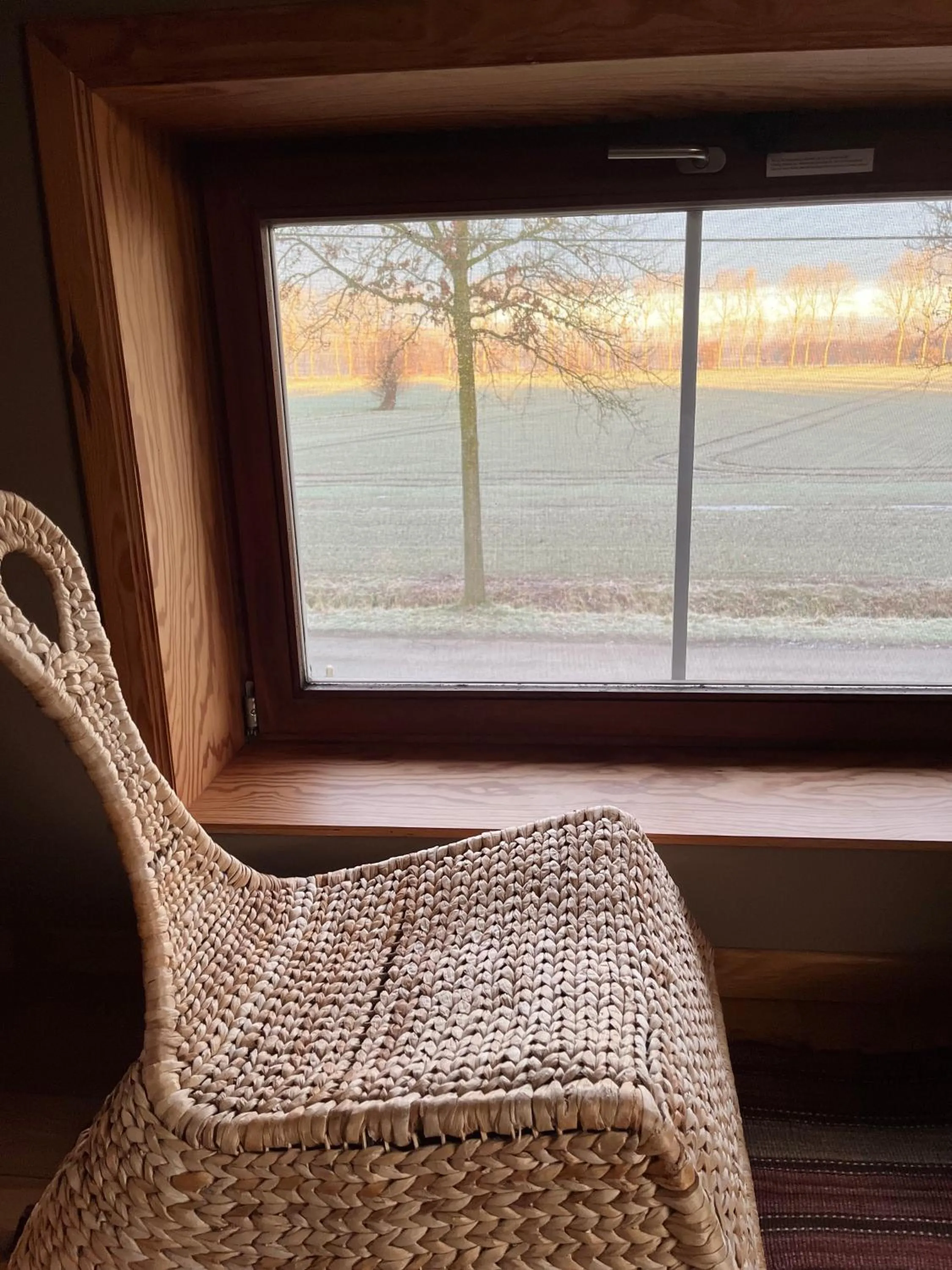 View (from property/room) in De Weide Wereld