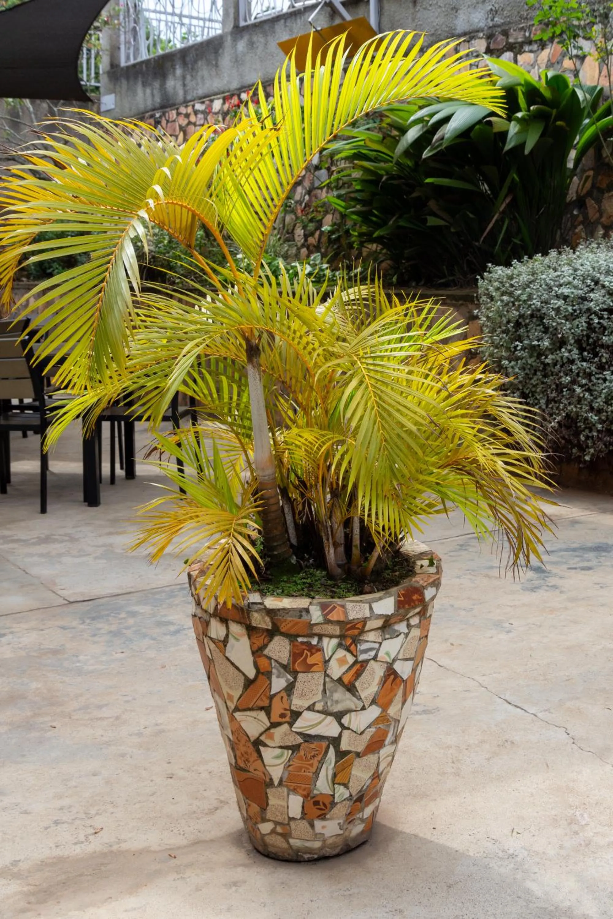 Garden in Dutchess Hotel and Restaurant