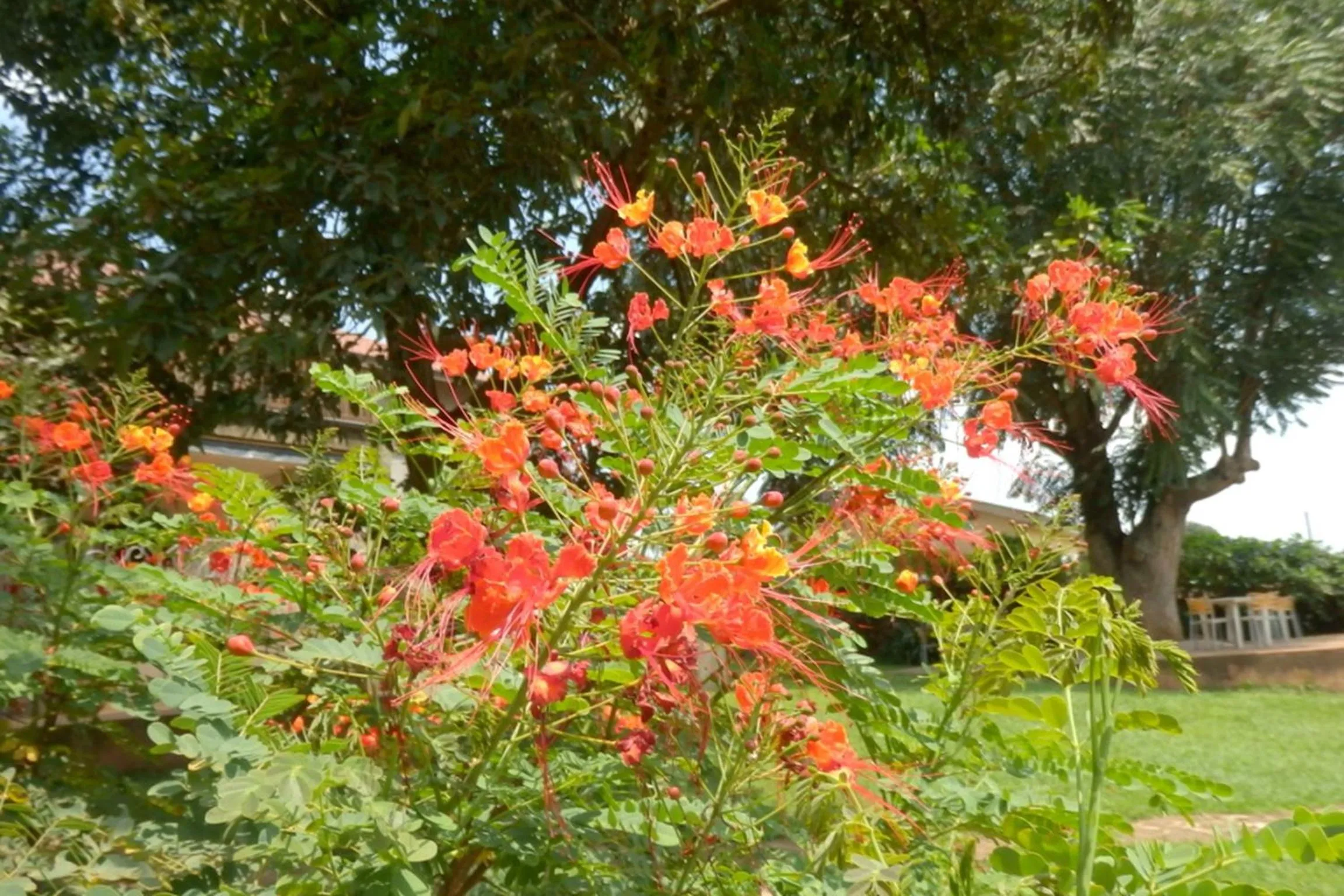 Garden in Dutchess Hotel and Restaurant