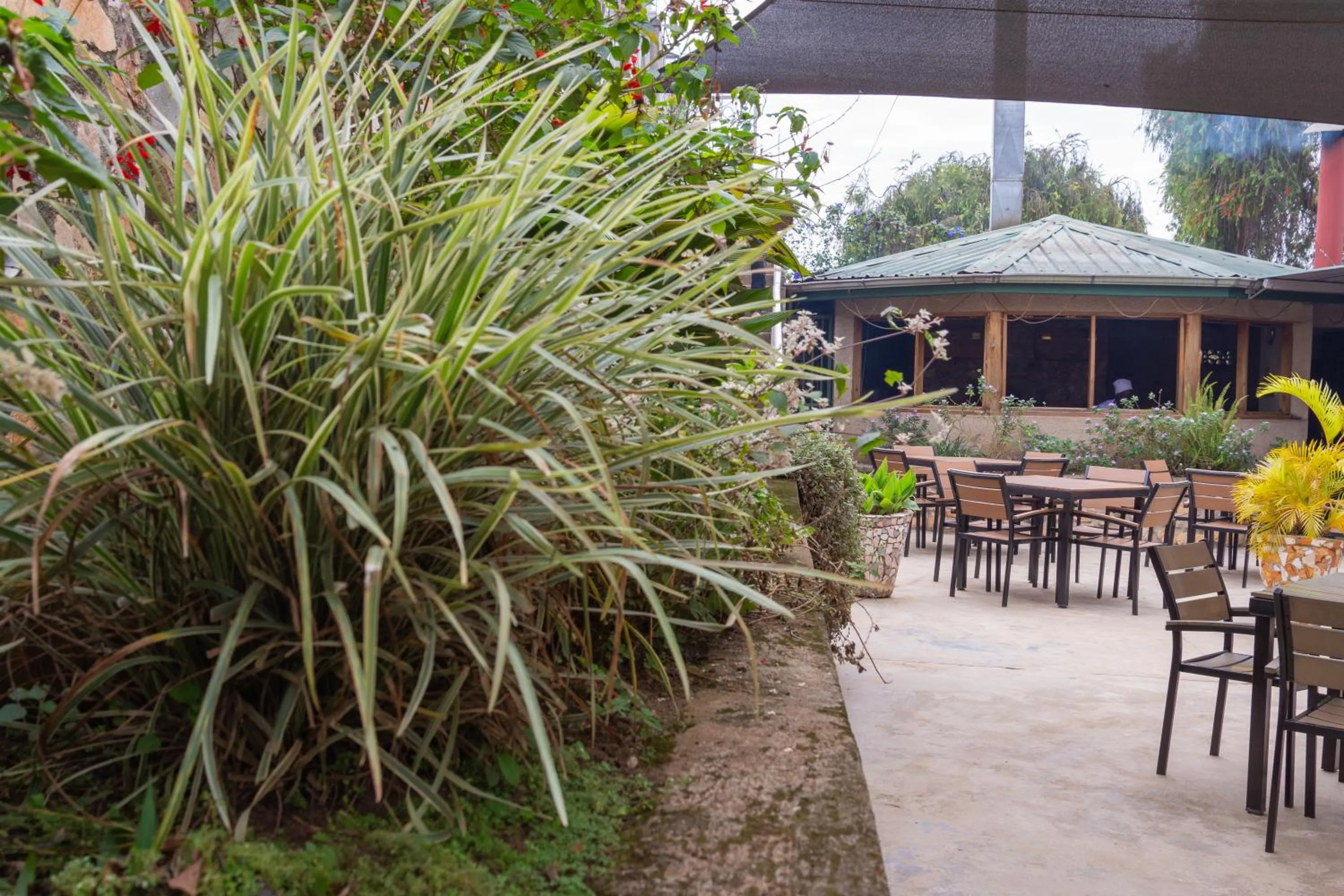 Balcony/Terrace in Dutchess Hotel and Restaurant