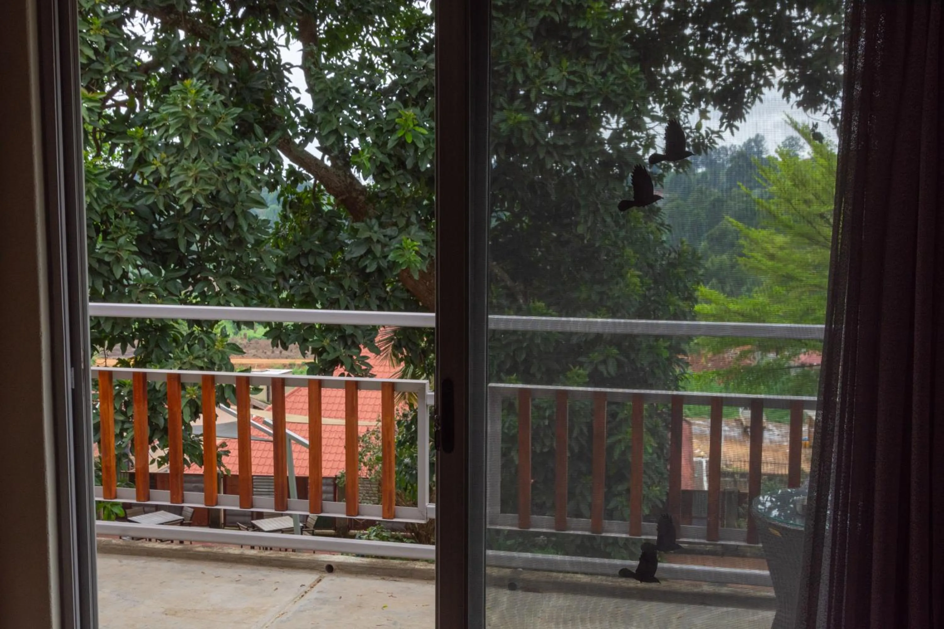 View (from property/room) in Dutchess Hotel and Restaurant