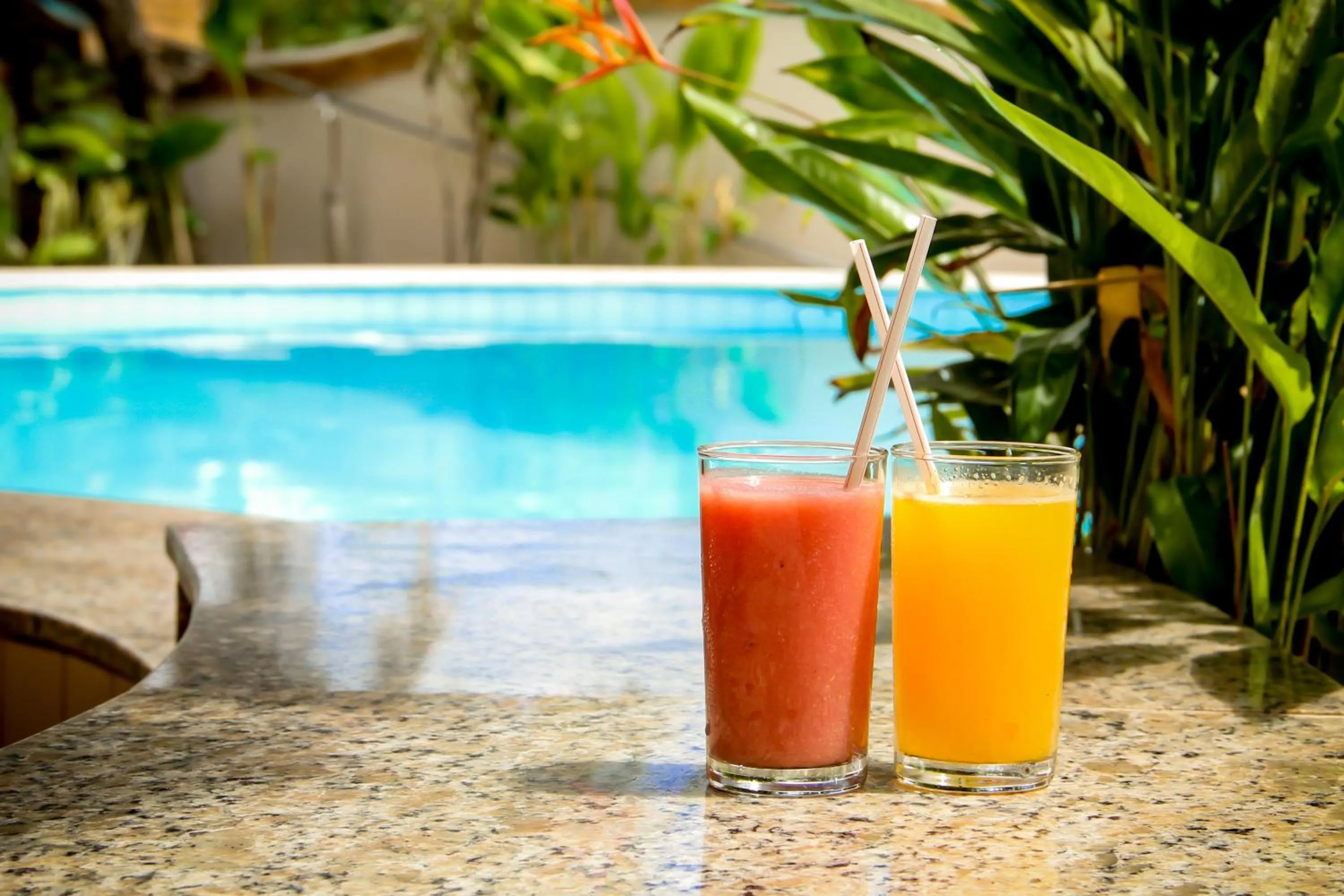 Pool view in O Tempo e o Vento