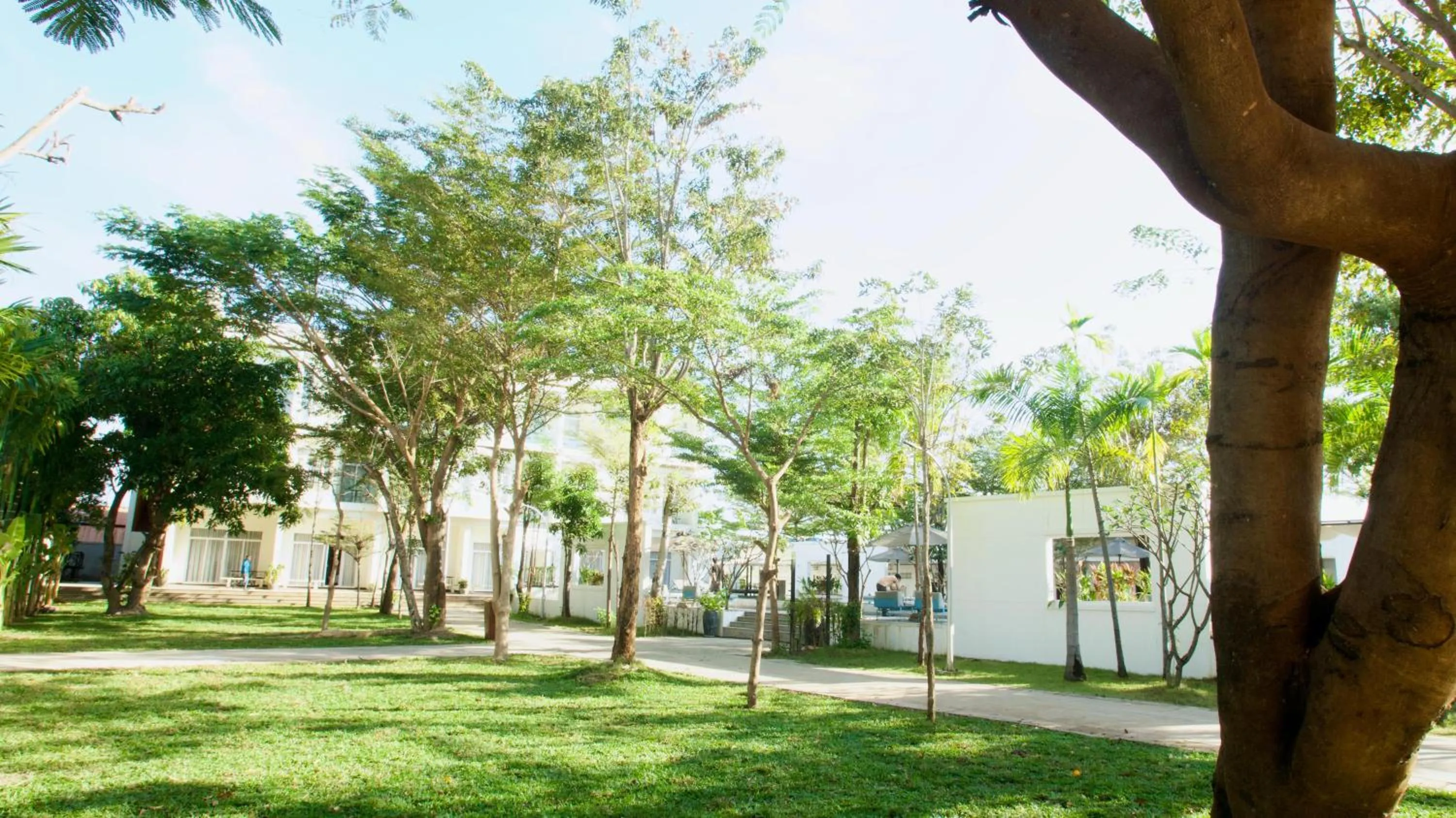 Garden in Elysium Suite