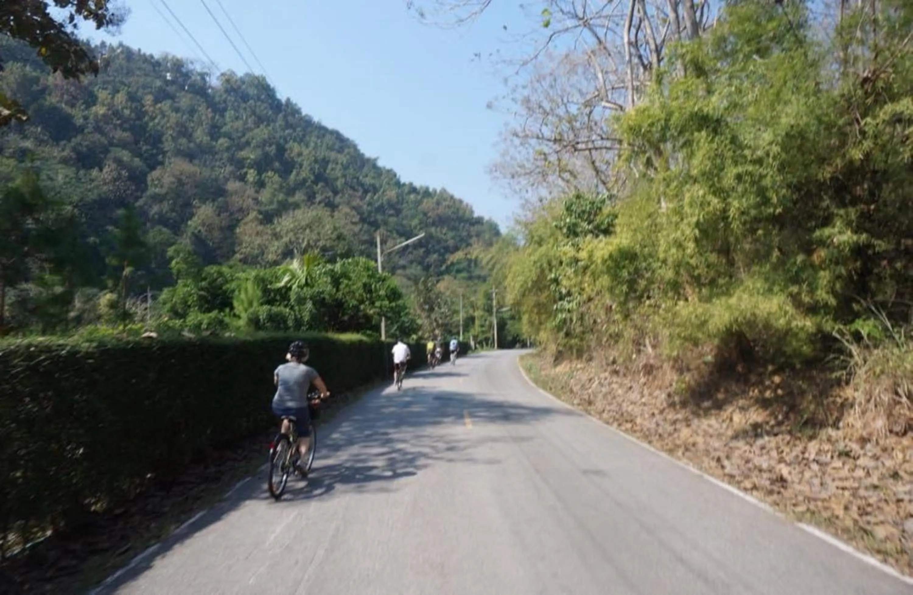 Other in Tiptopthai House