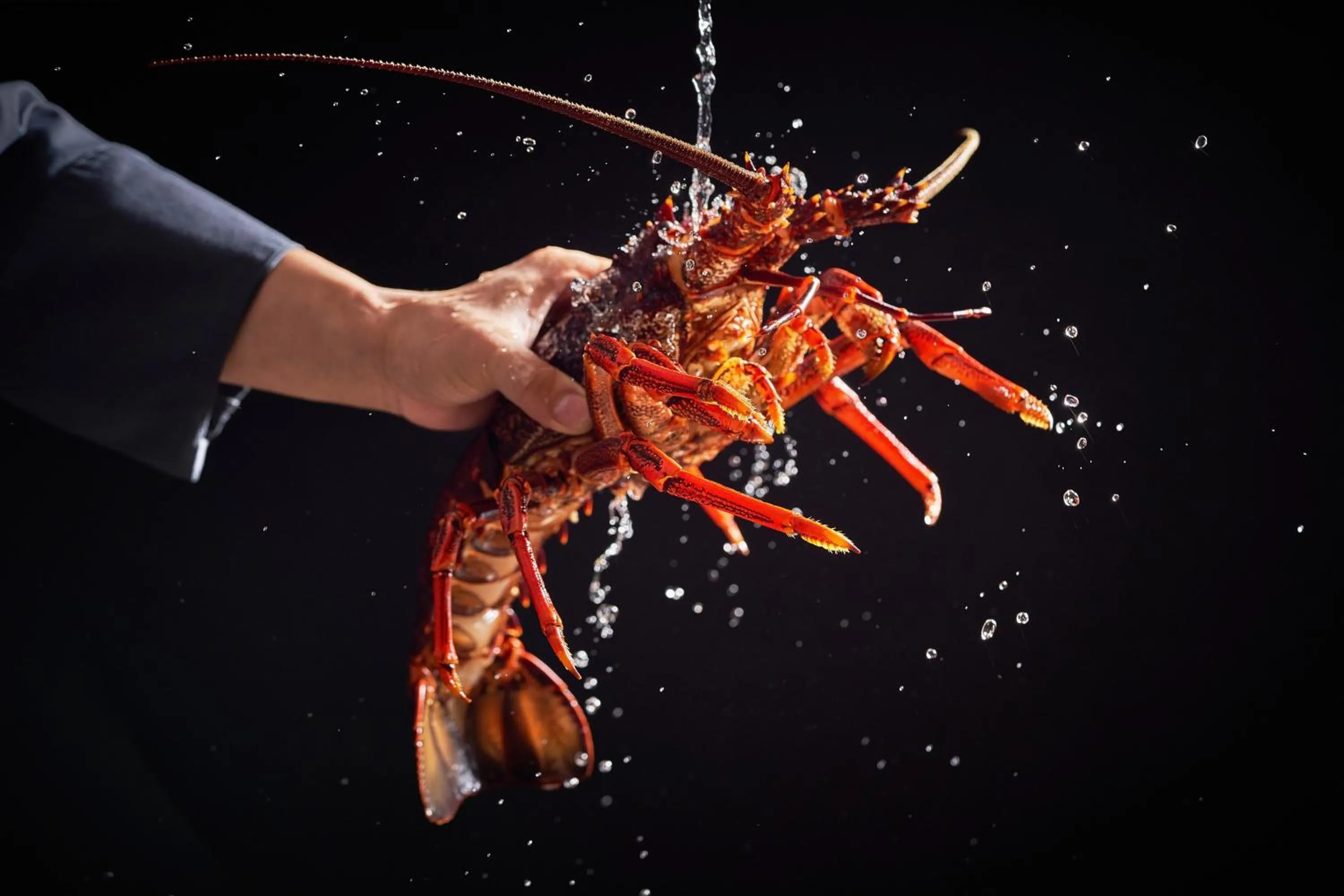 Restaurant/places to eat in Regent Chongqing - Complimentary 1st round mini bar daily