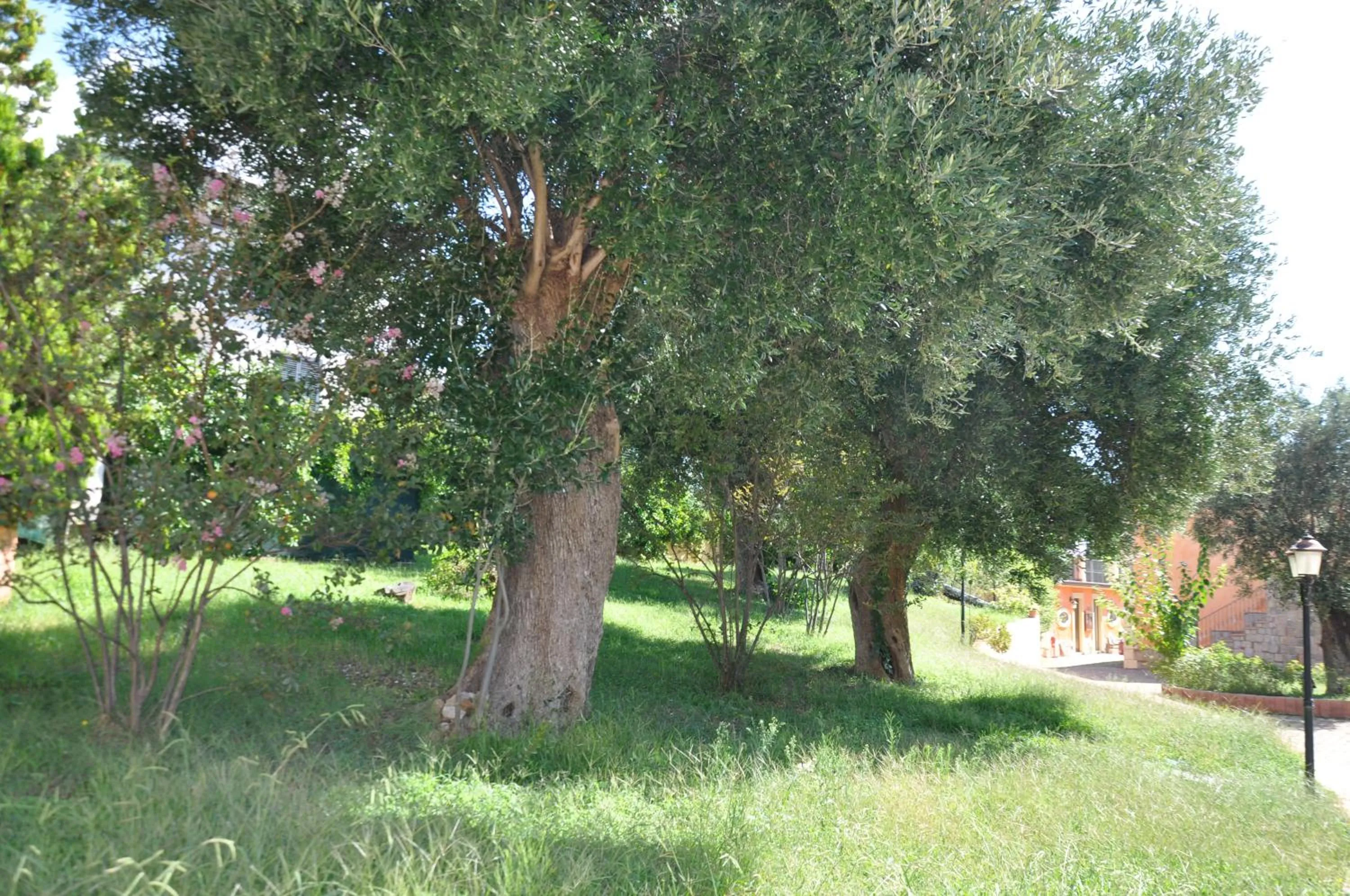 Garden in Residence Baia Infreschi