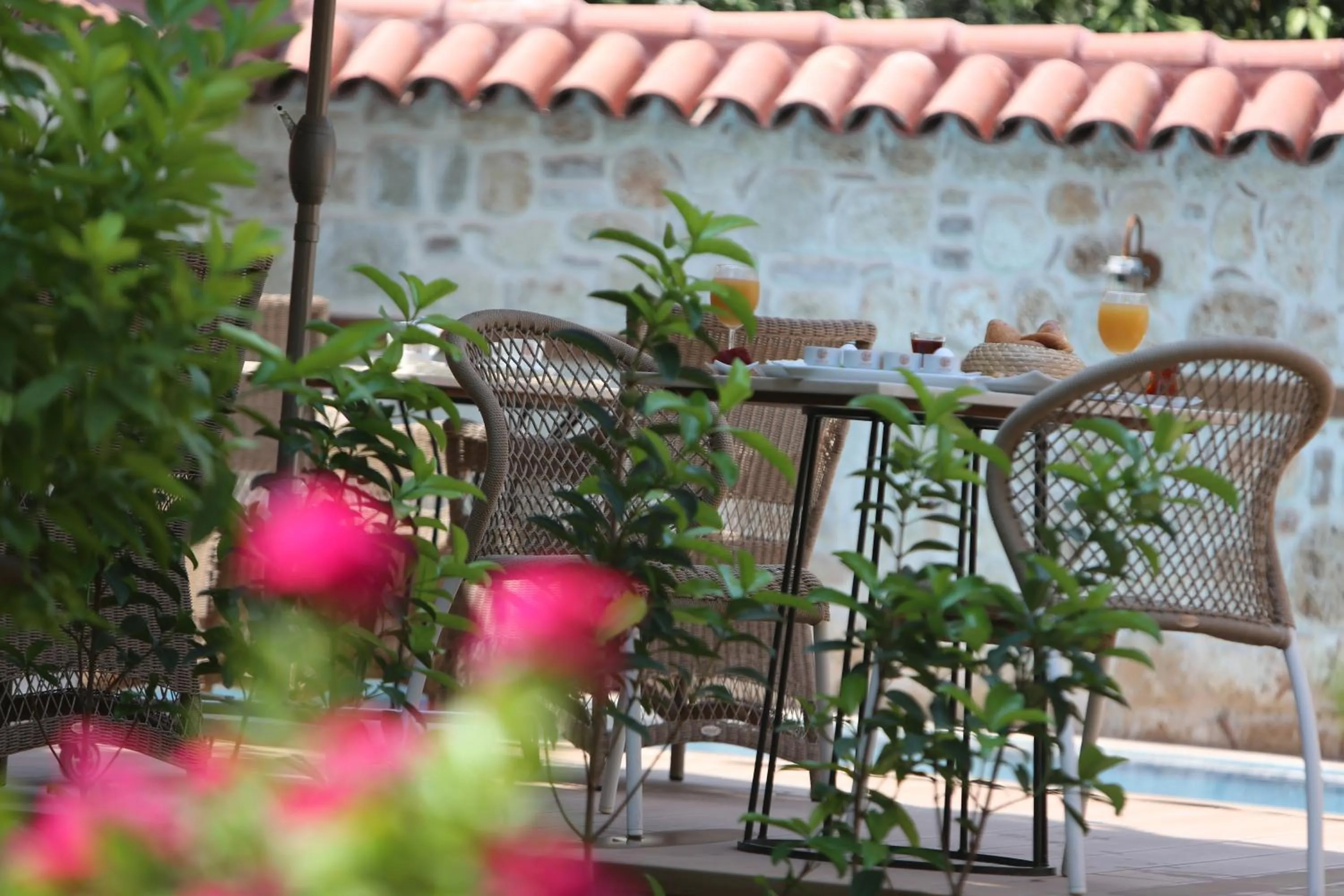 Garden in Char Me Hotel