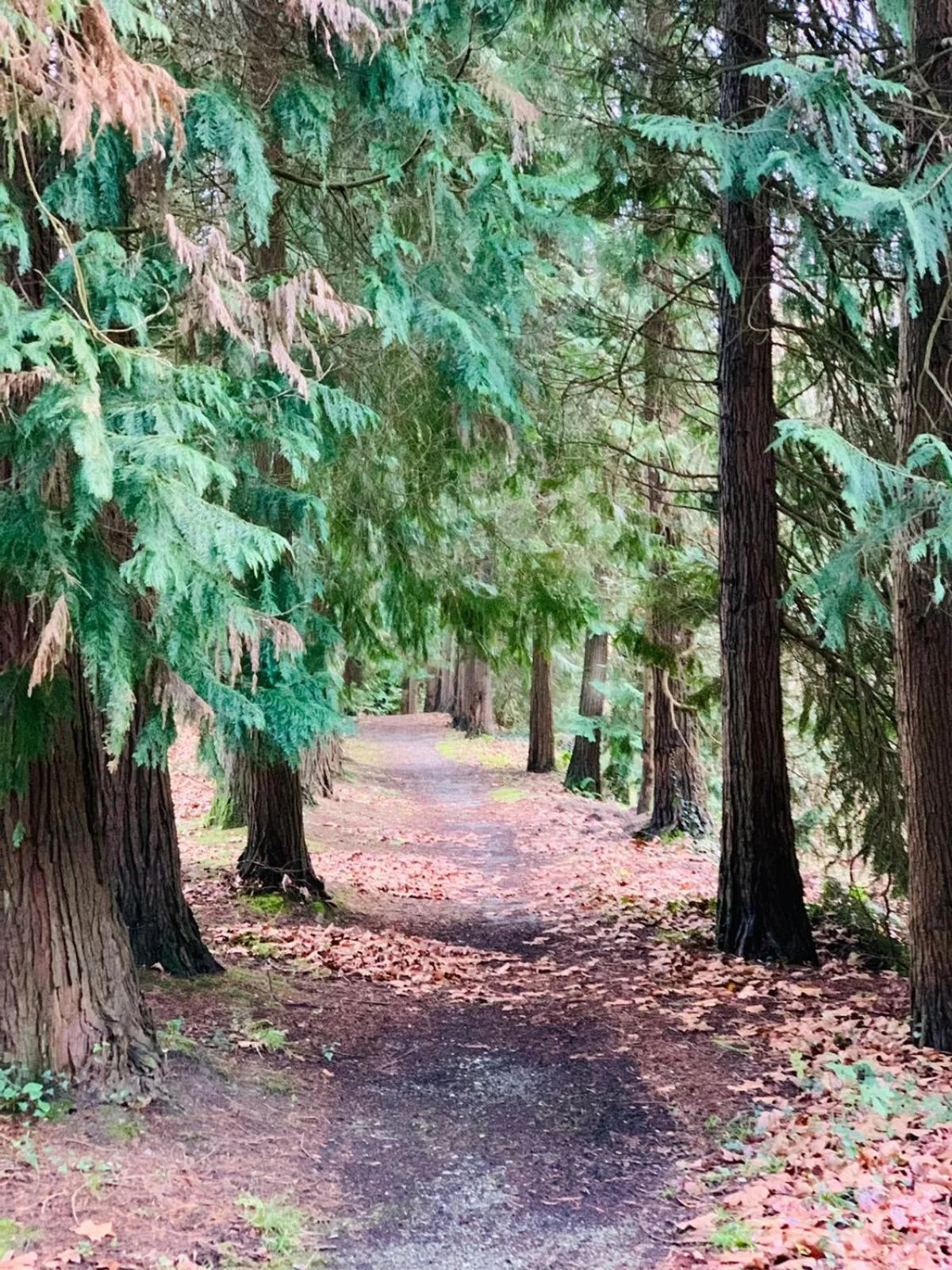 Off site in Balneario Casa Pallotti