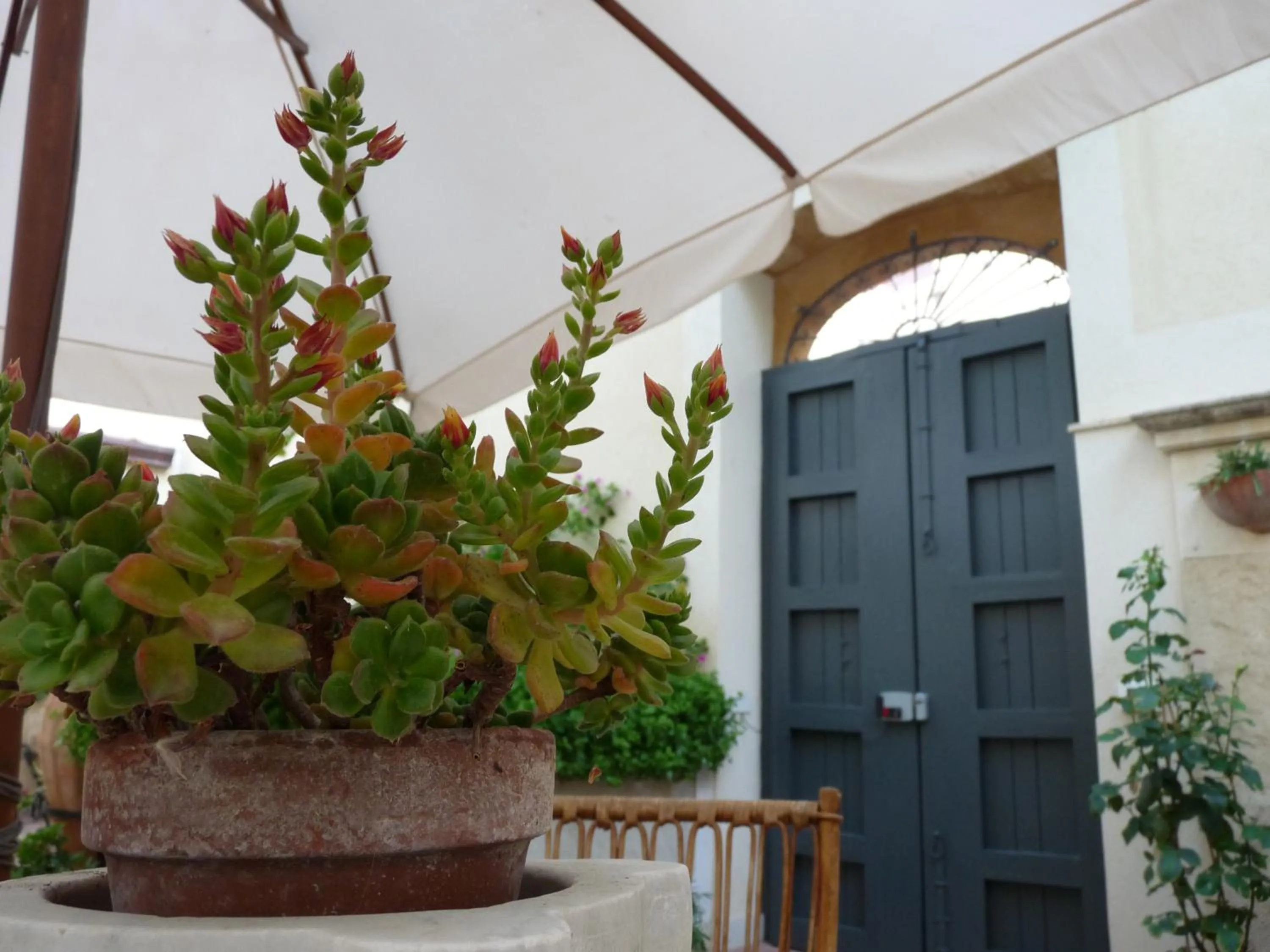 Garden view in B&B del Corso