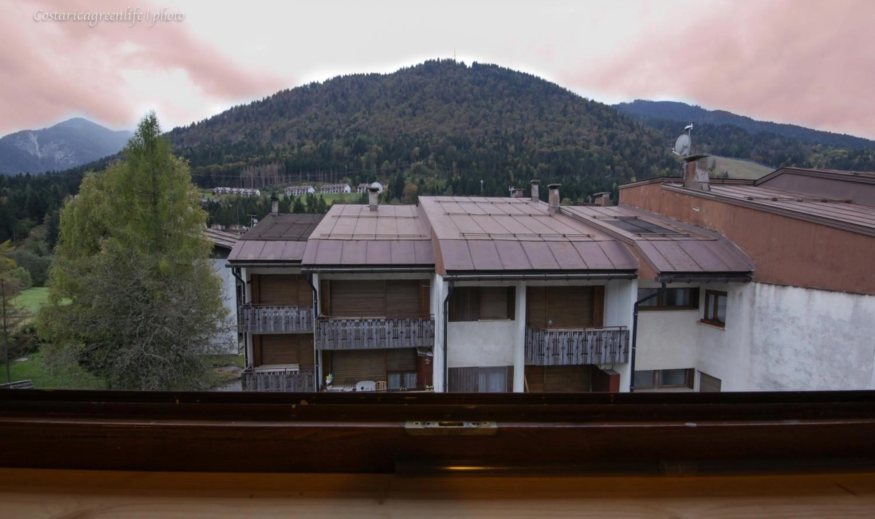 Other in Central Greenlife