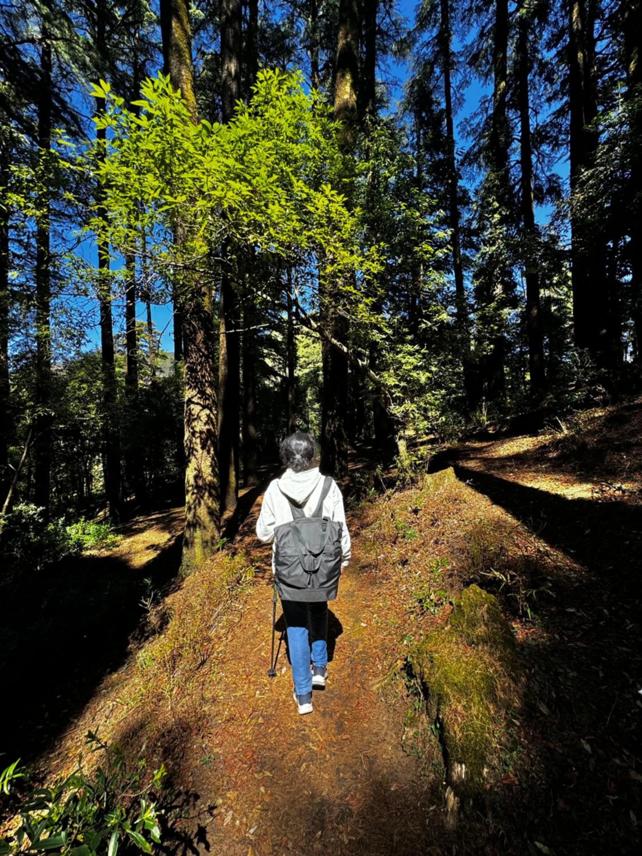 Hiking in Abbotsford Prasada Bhawan