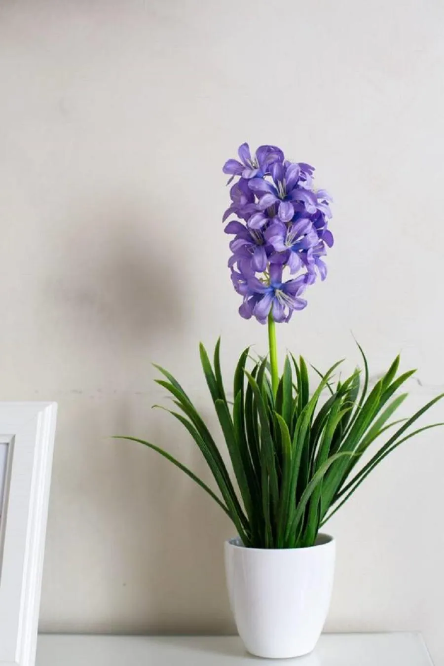 Decorative detail in Roma Enrico Guesthouse