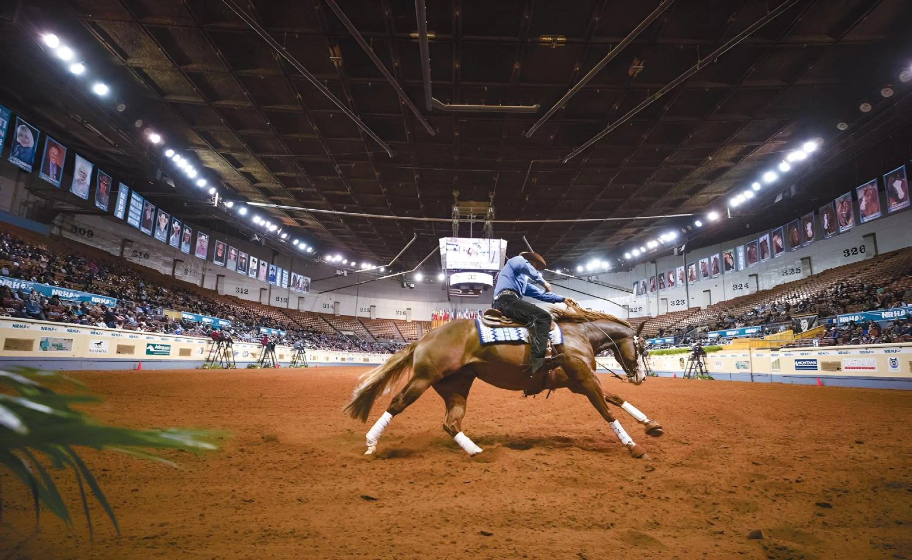 Area and facilities in Holiday Inn Express & Suites Moore by IHG