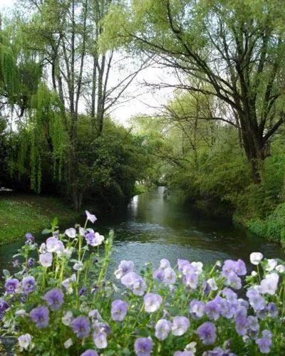 River view in Hotel L'Ultimo Mulino