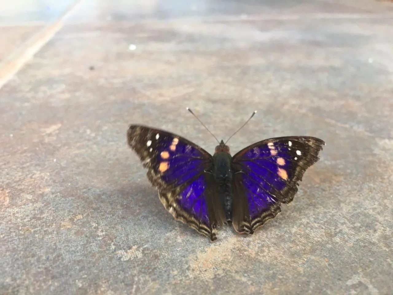 Property building in Hotel Don Horacio