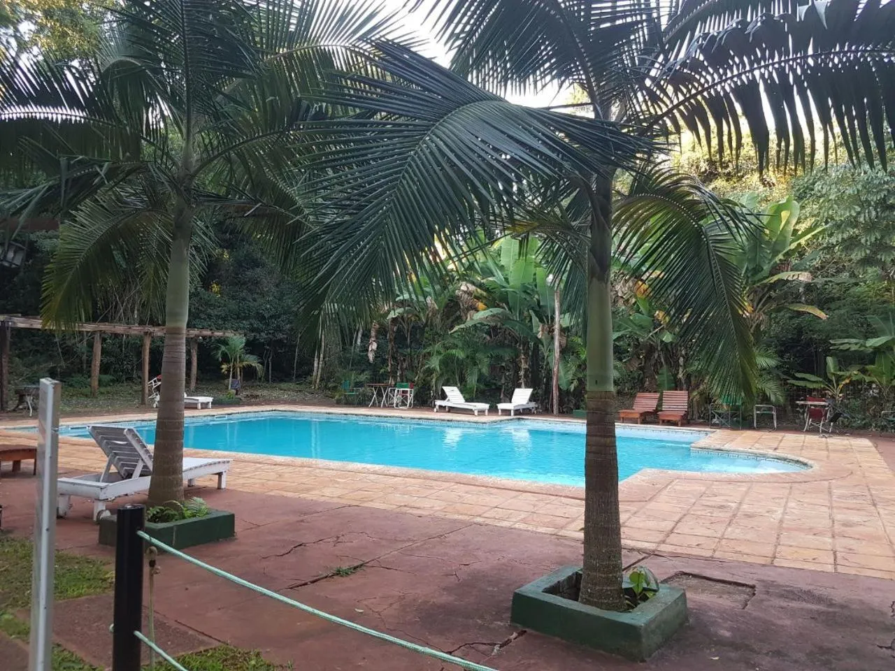 Garden in Hotel Don Horacio