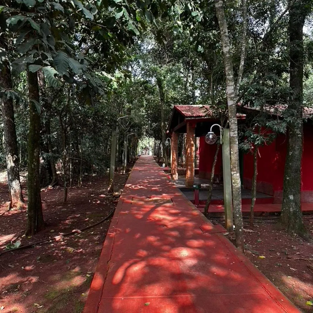 Garden in Hotel Don Horacio
