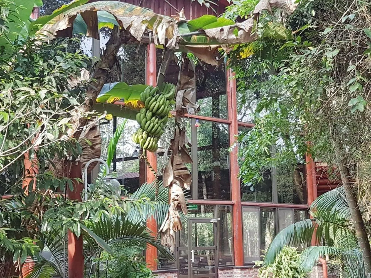 Garden in Hotel Don Horacio