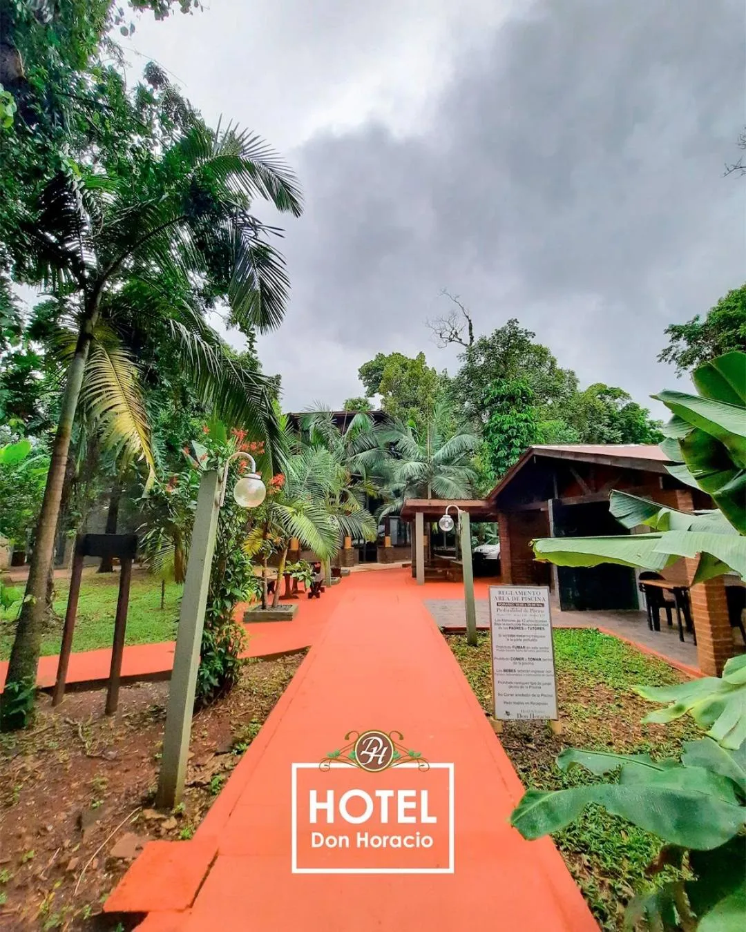 Garden in Hotel Don Horacio