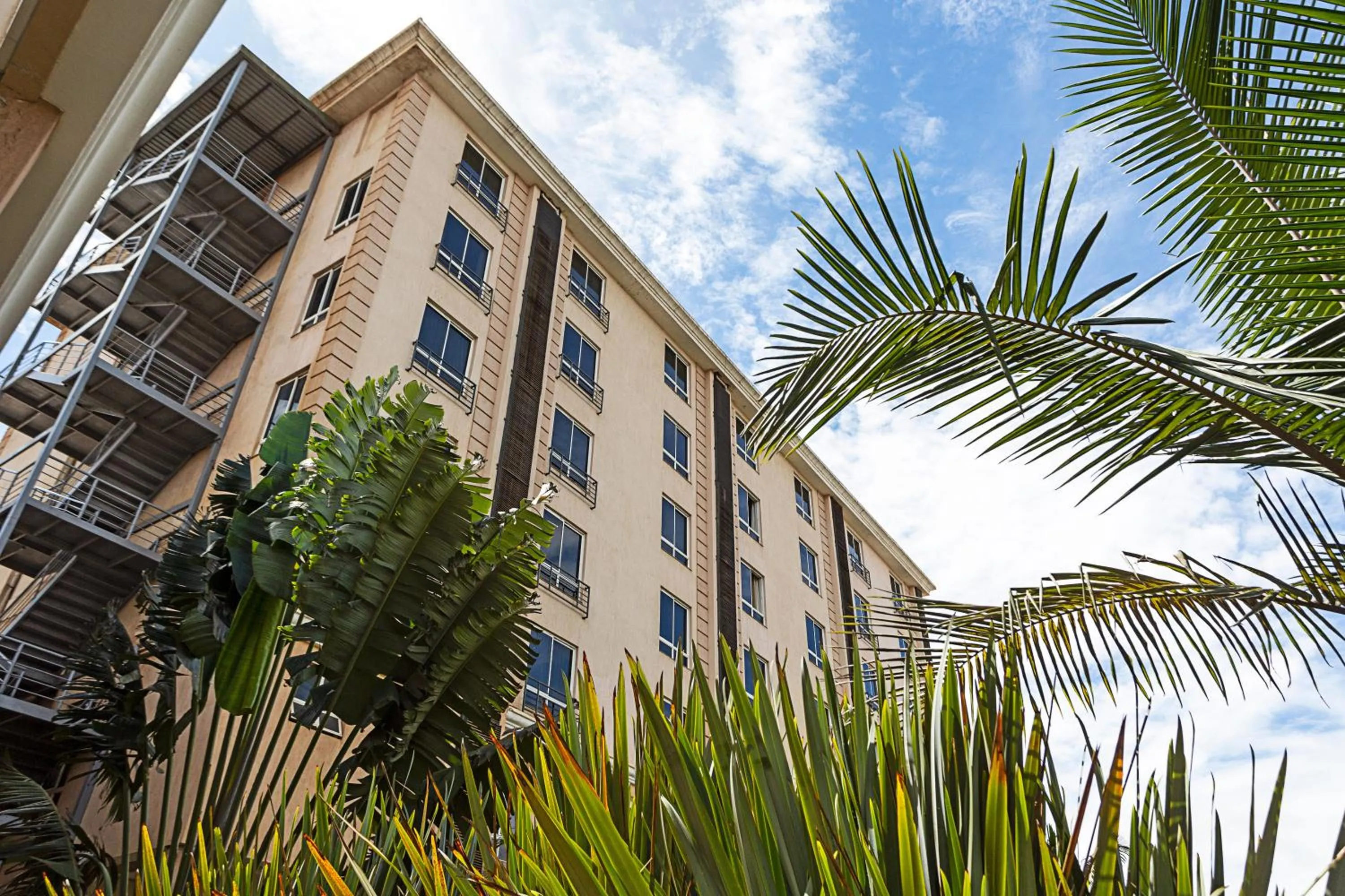 View (from property/room) in Three Steers Hotel