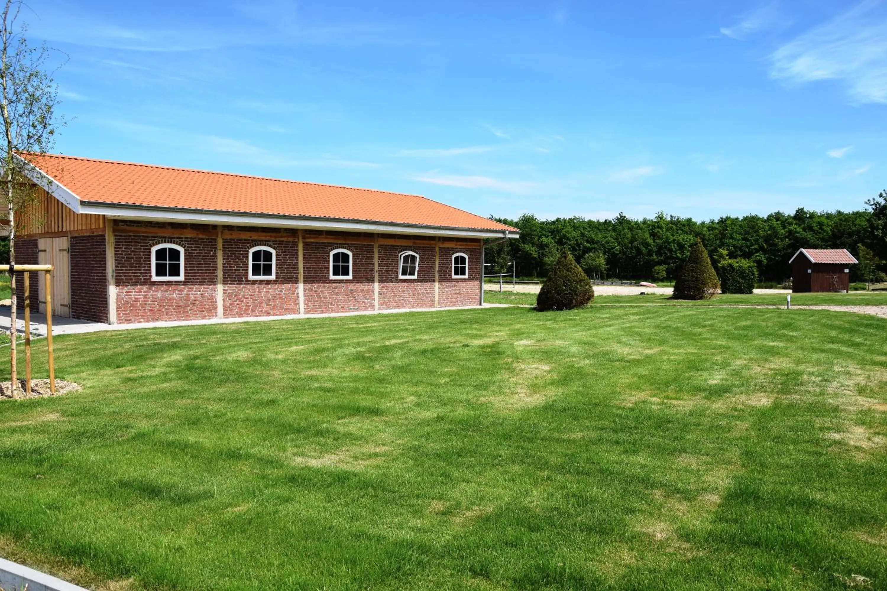 Horse-riding in Ferienresort Texas MV