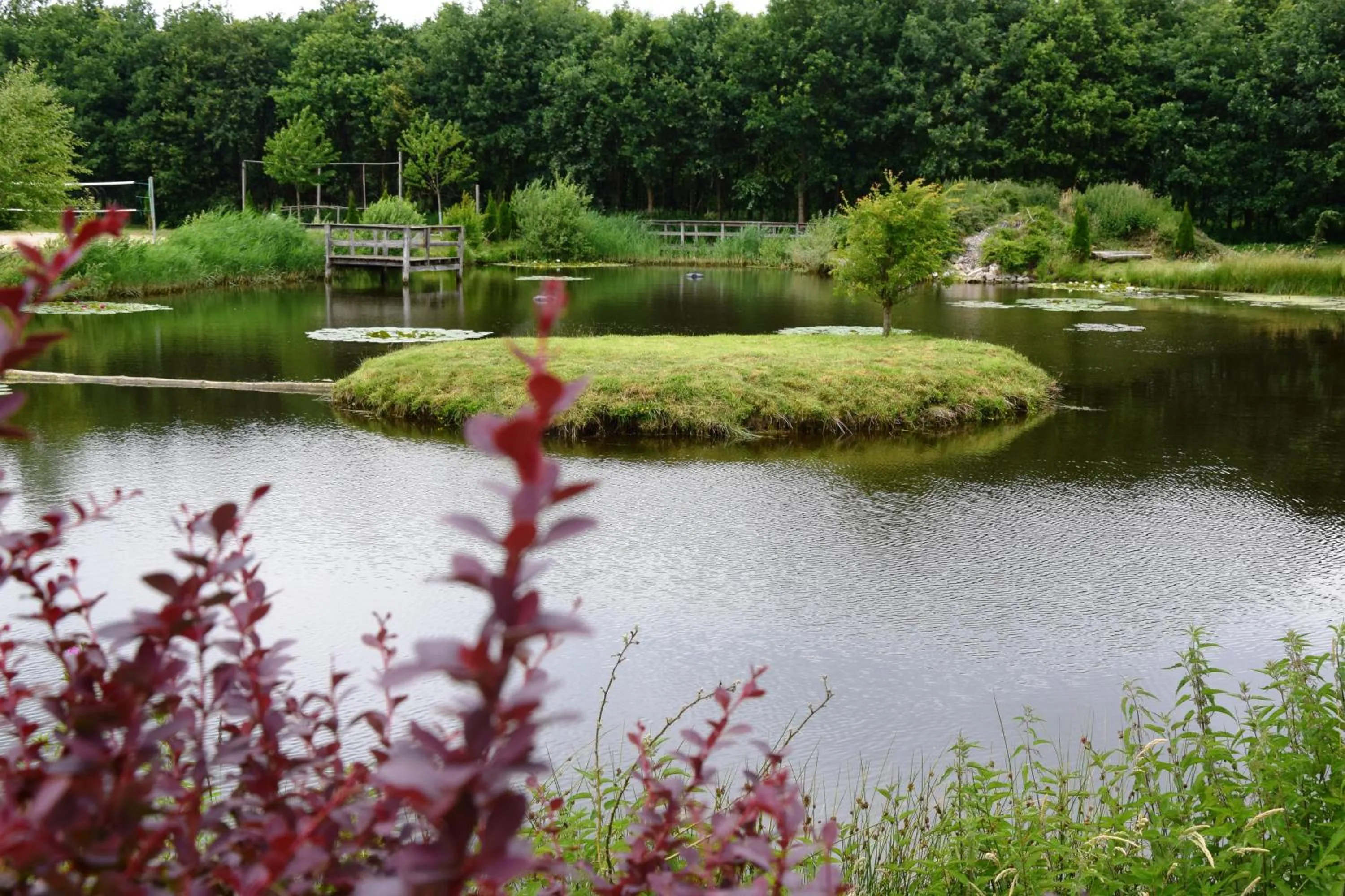 Natural landscape in Ferienresort Texas MV